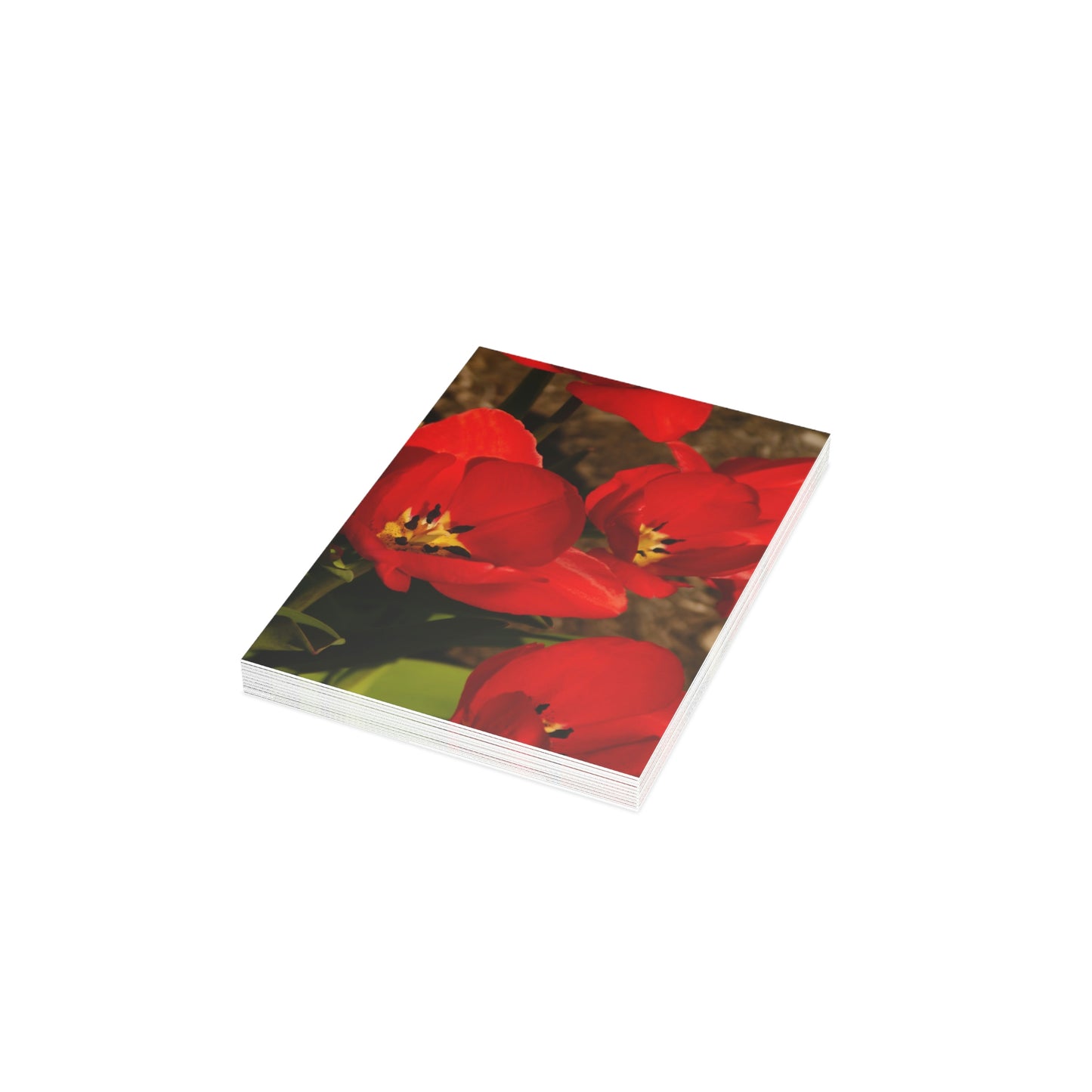 Flowers 05 Greeting Cards (1, 10, 30, and 50pcs)