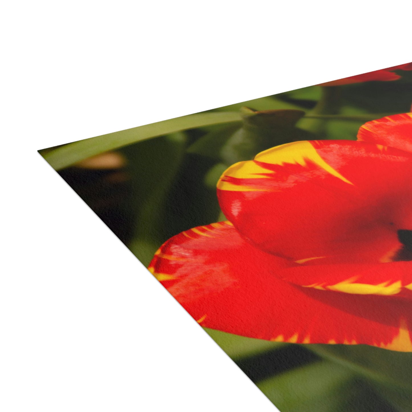 Flowers 09 Greeting Cards (1, 10, 30, and 50pcs)
