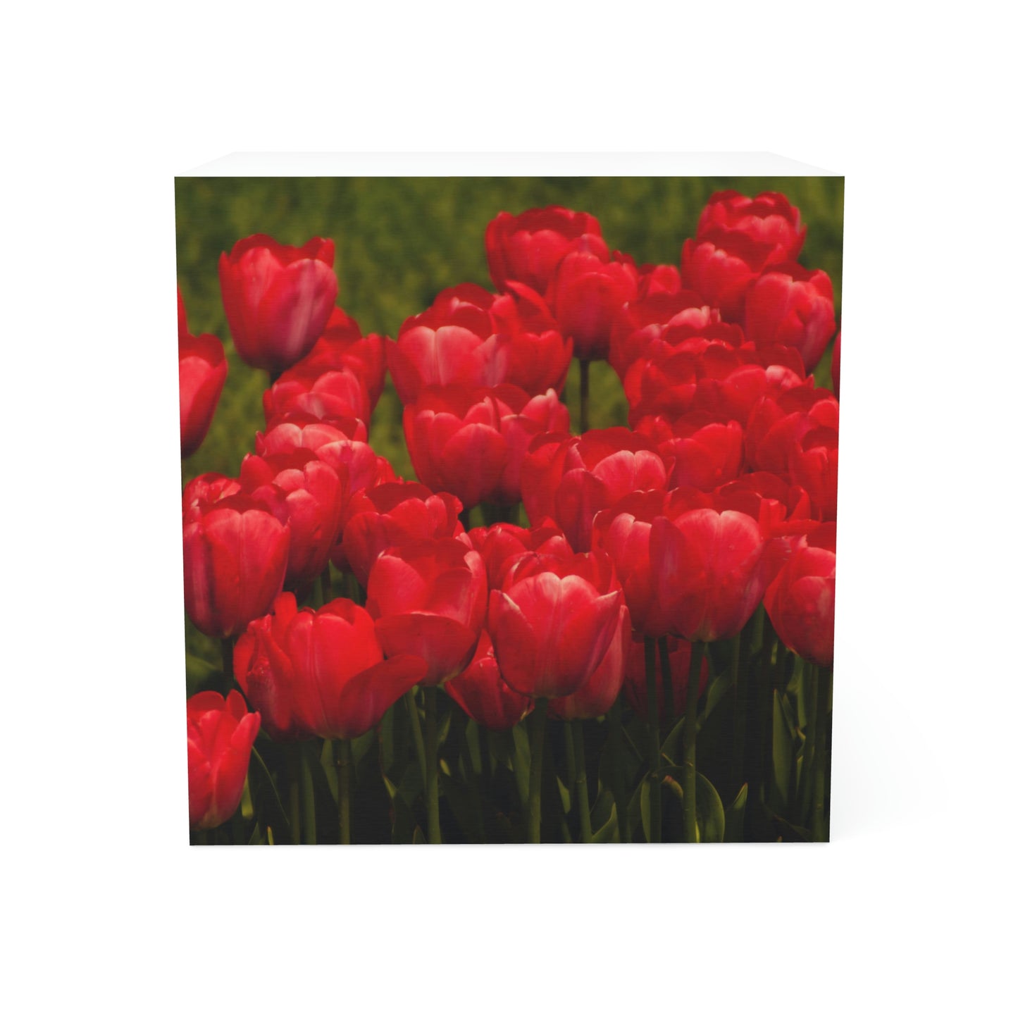 Flowers 23 Note Cube