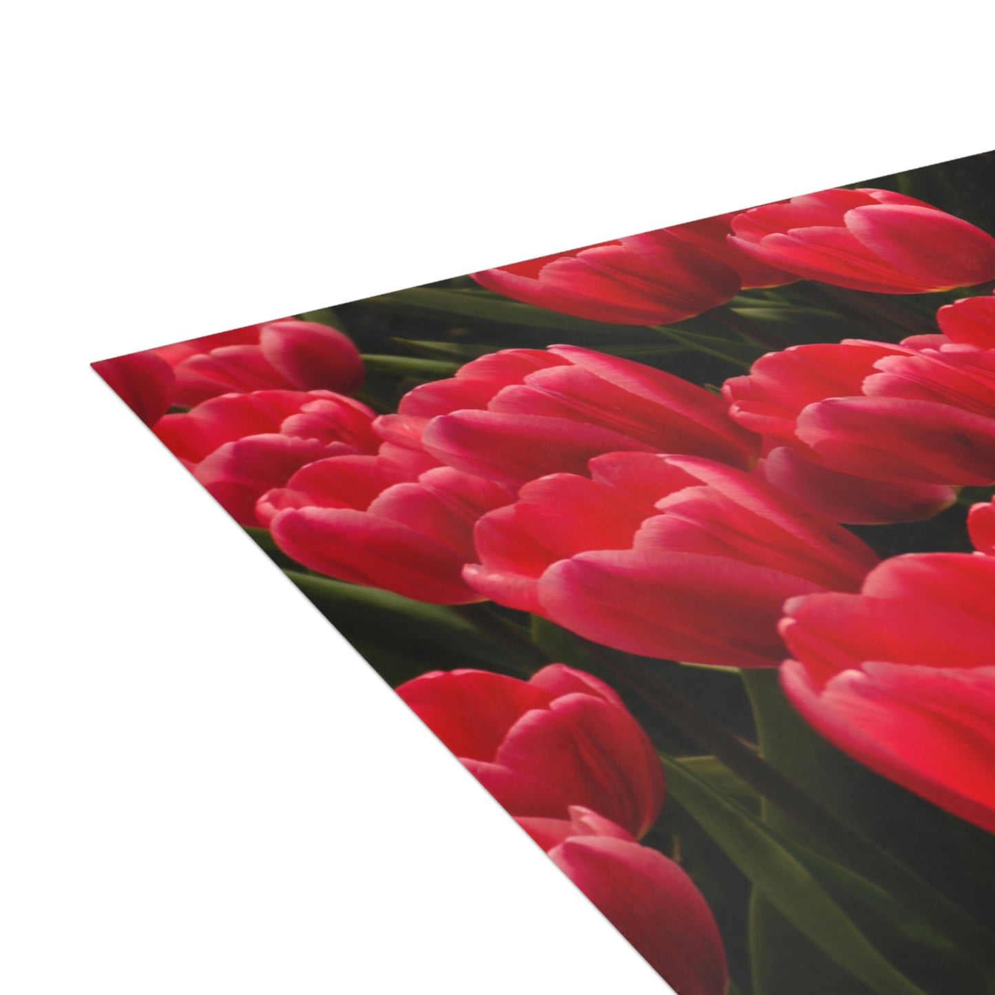 Flowers 24 Greeting Cards (1, 10, 30, and 50pcs)