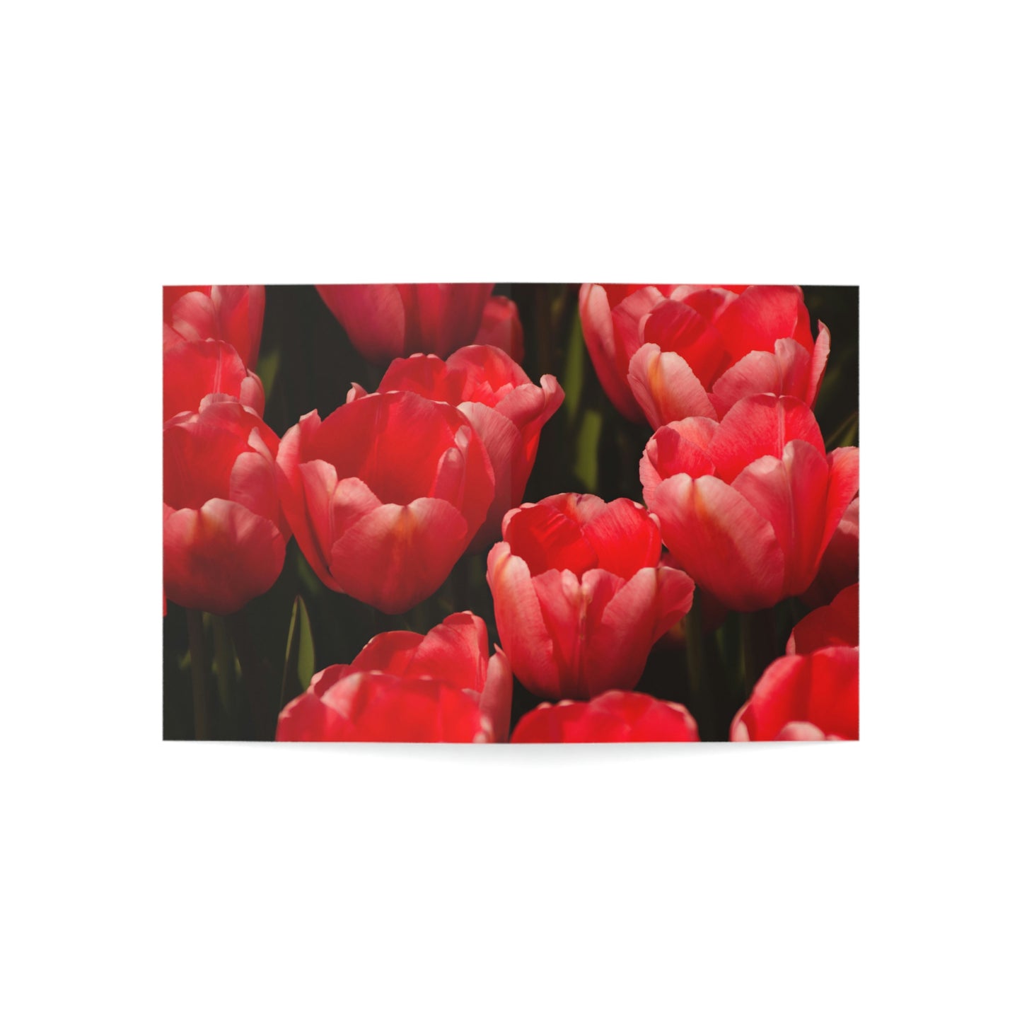 Flowers 07 Greeting Cards (1, 10, 30, and 50pcs)