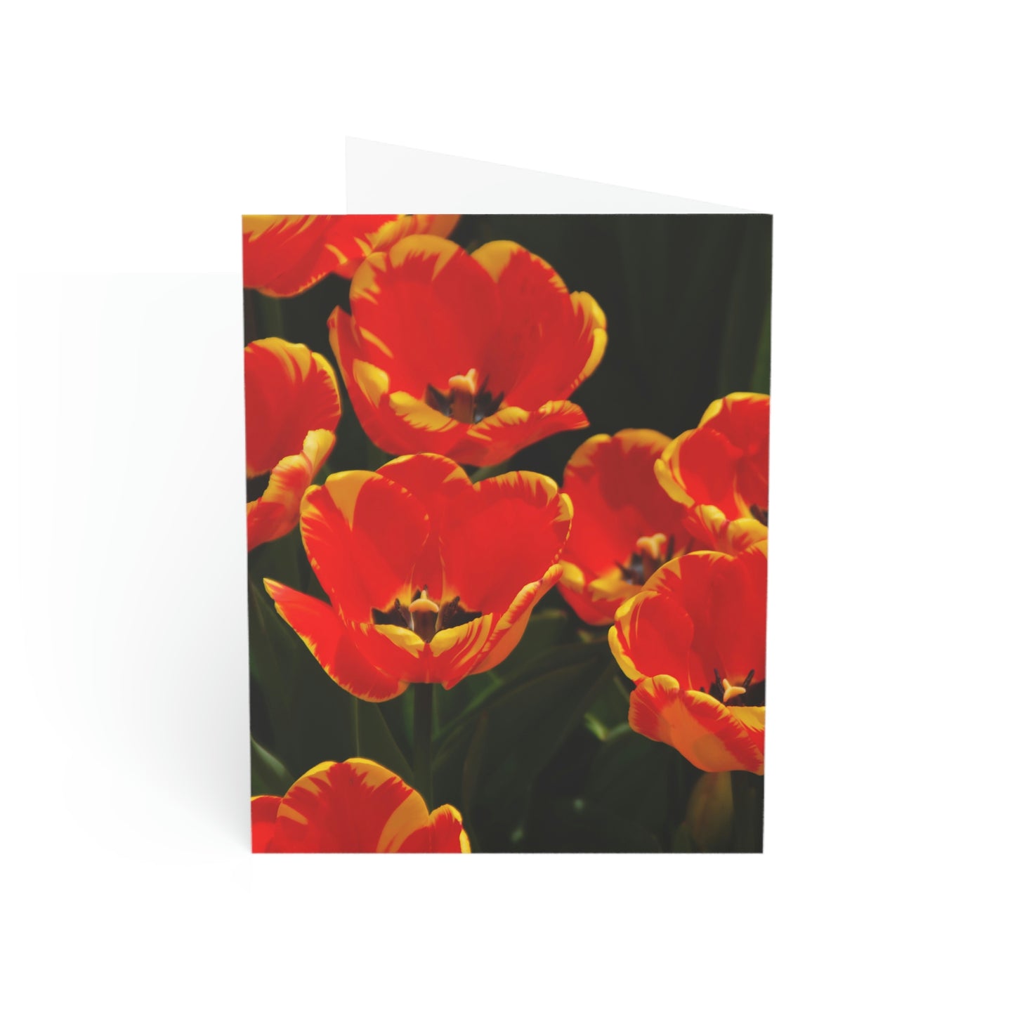 Flowers 19 Greeting Cards (1, 10, 30, and 50pcs)