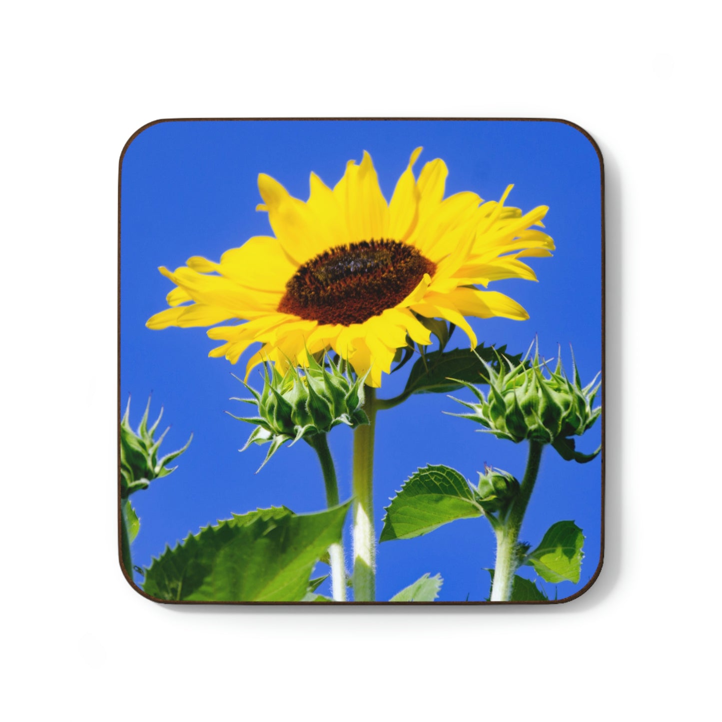 Flowers 02 Hardboard Back Coaster