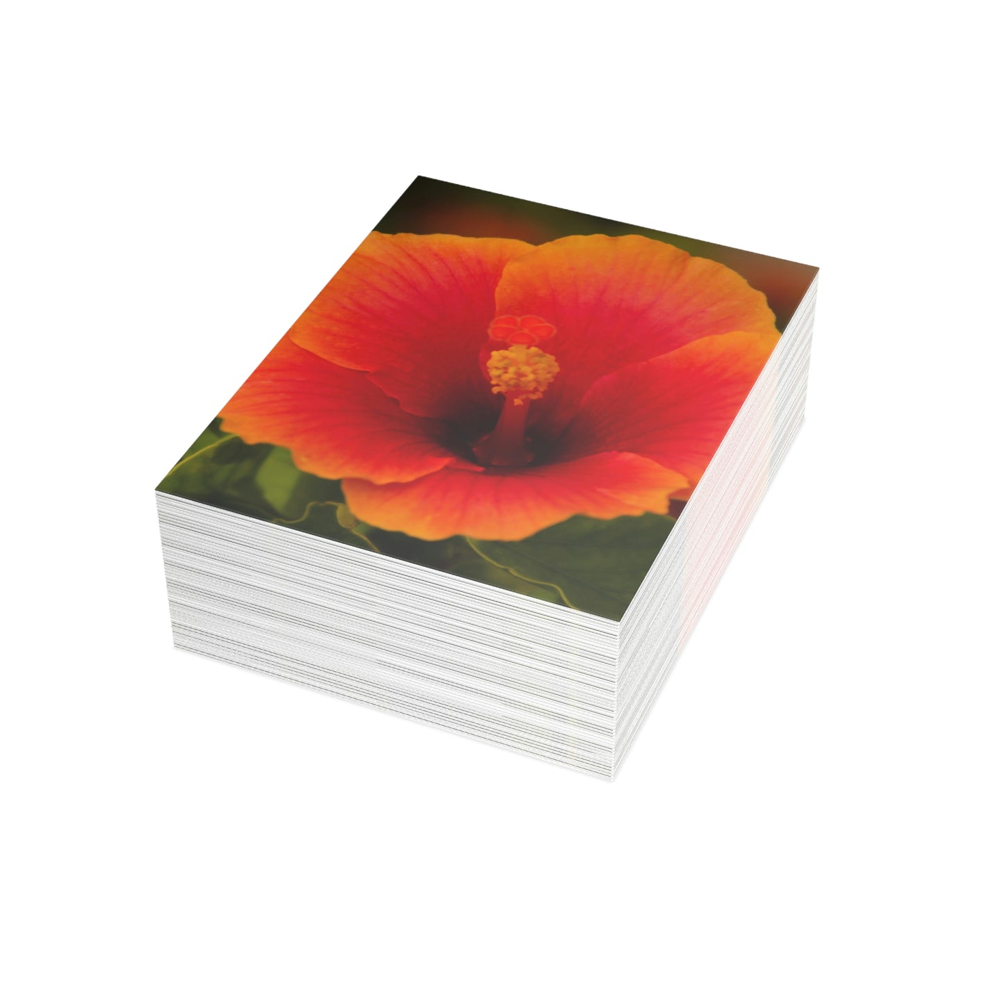Flowers 31 Greeting Cards (1, 10, 30, and 50pcs)