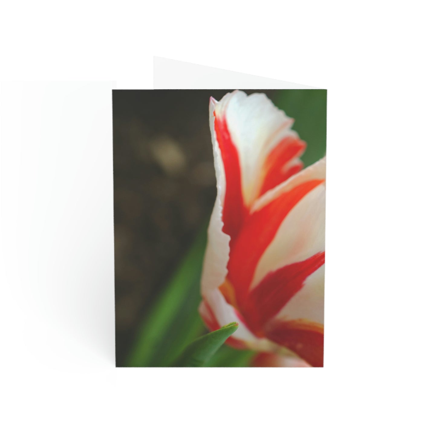 Flowers 12 Greeting Cards (1, 10, 30, and 50pcs)