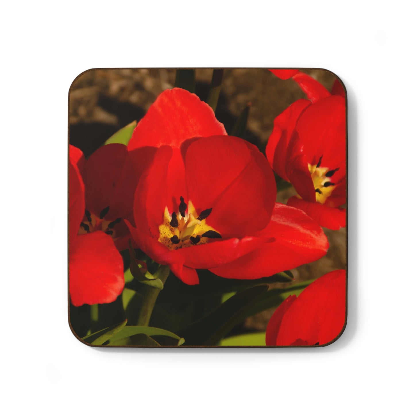 Flowers 05 Hardboard Back Coaster