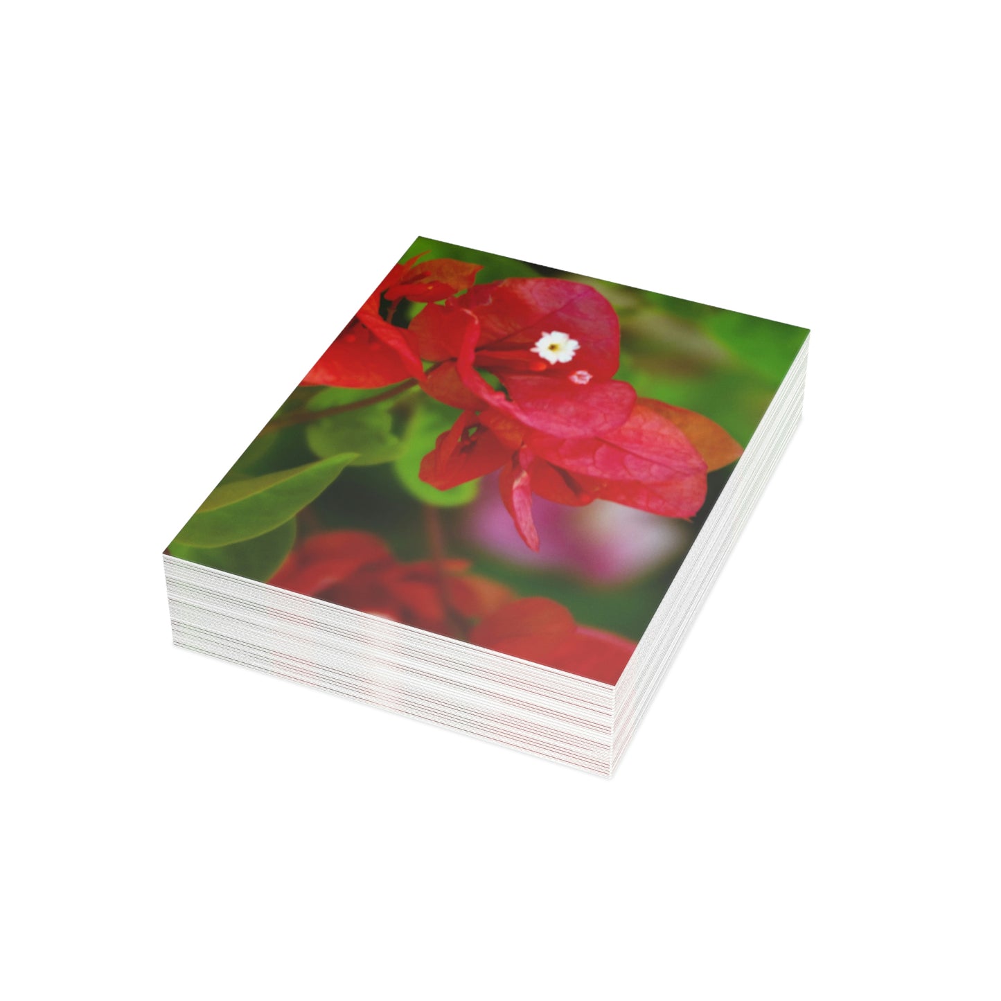 Flowers 28 Greeting Cards (1, 10, 30, and 50pcs)
