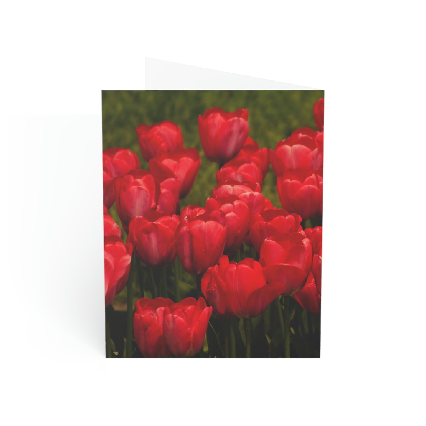 Flowers 22 Greeting Cards (1, 10, 30, and 50pcs)