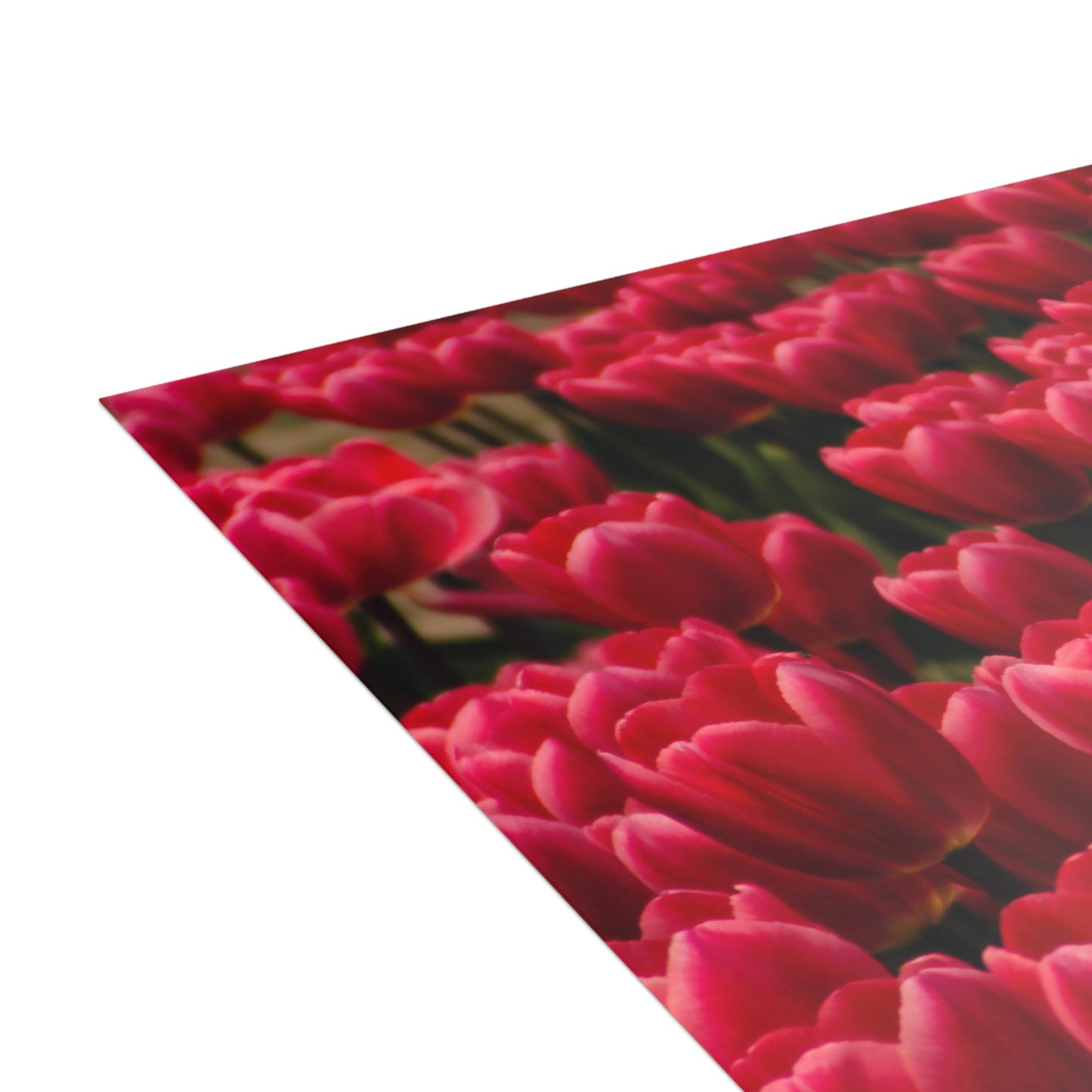 Flowers 16 Greeting Cards (1, 10, 30, and 50pcs)