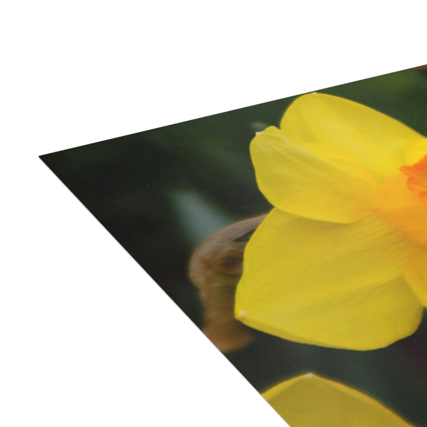 Flowers 08 Greeting Cards (1, 10, 30, and 50pcs)