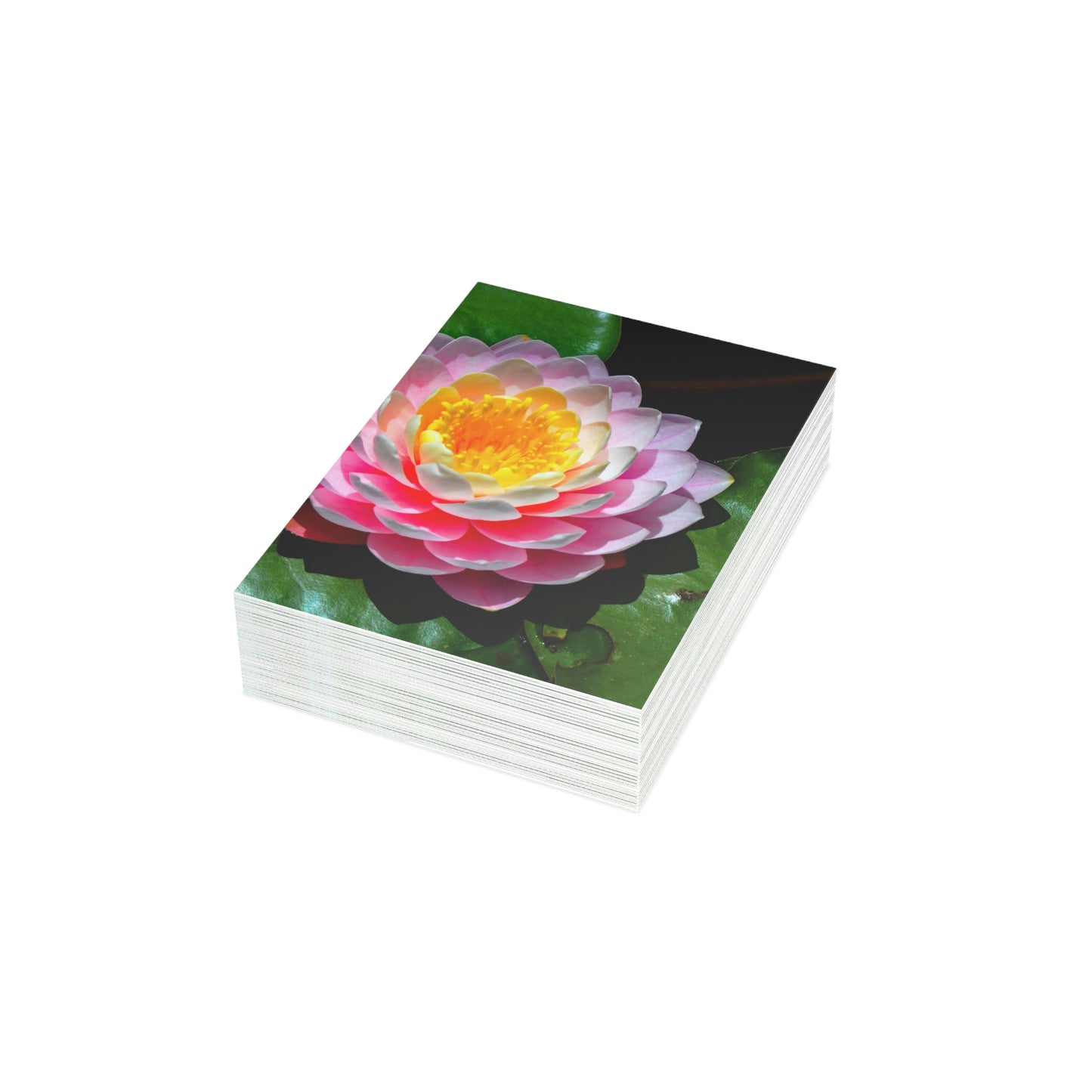 Flowers 25 Greeting Cards (1, 10, 30, and 50pcs)