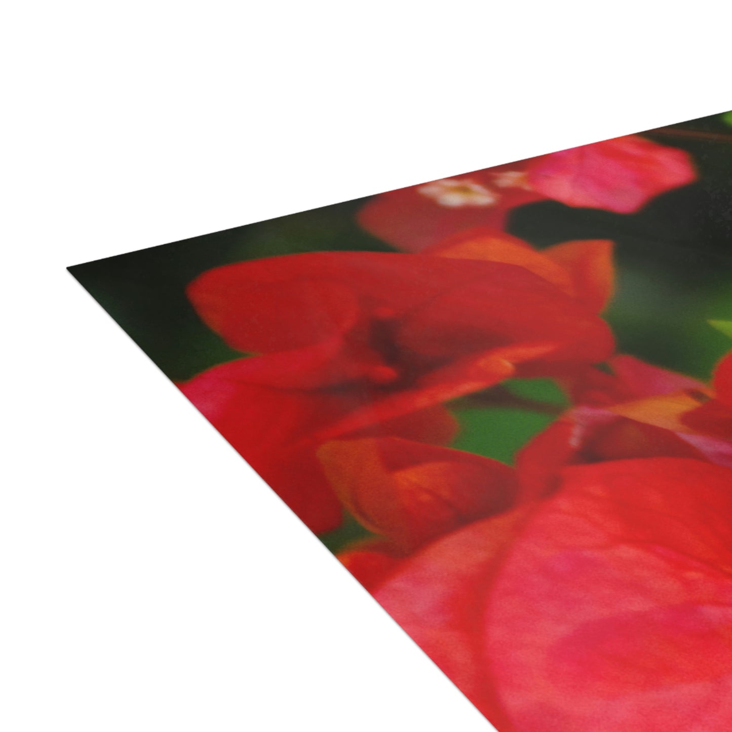 Flowers 28 Greeting Cards (1, 10, 30, and 50pcs)