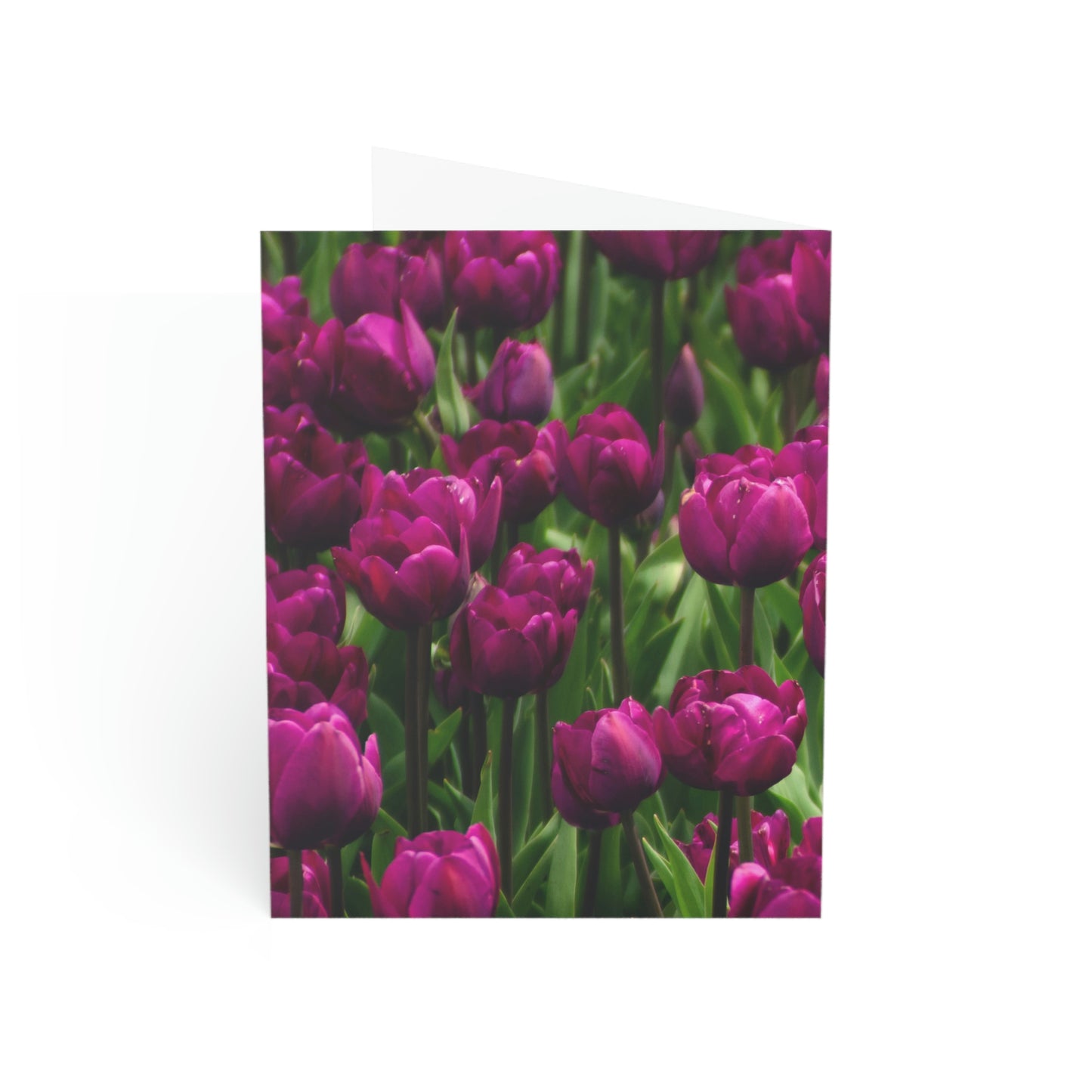 Flowers 20 Greeting Cards (1, 10, 30, and 50pcs)