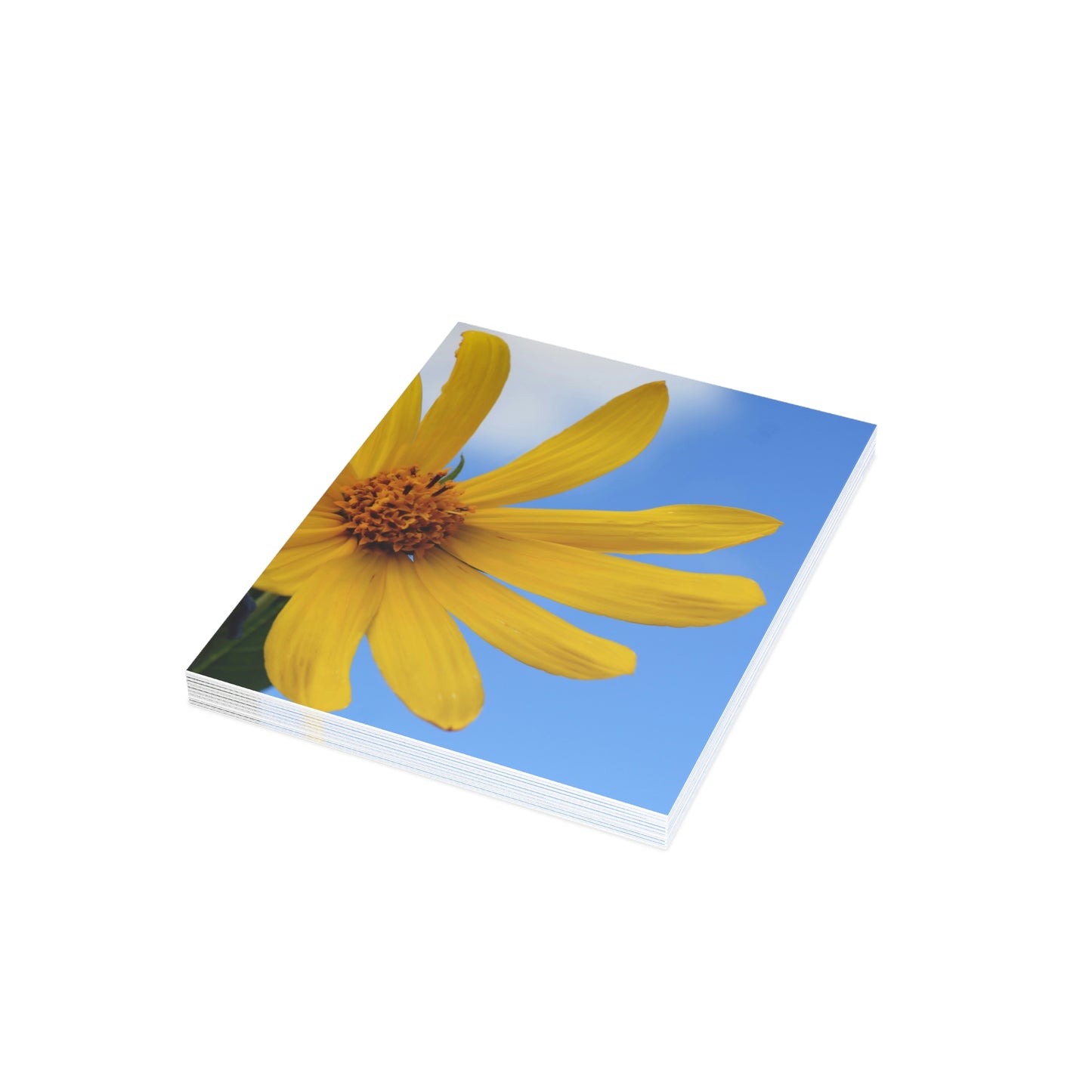 Flowers 32 Greeting Cards (1, 10, 30, and 50pcs)
