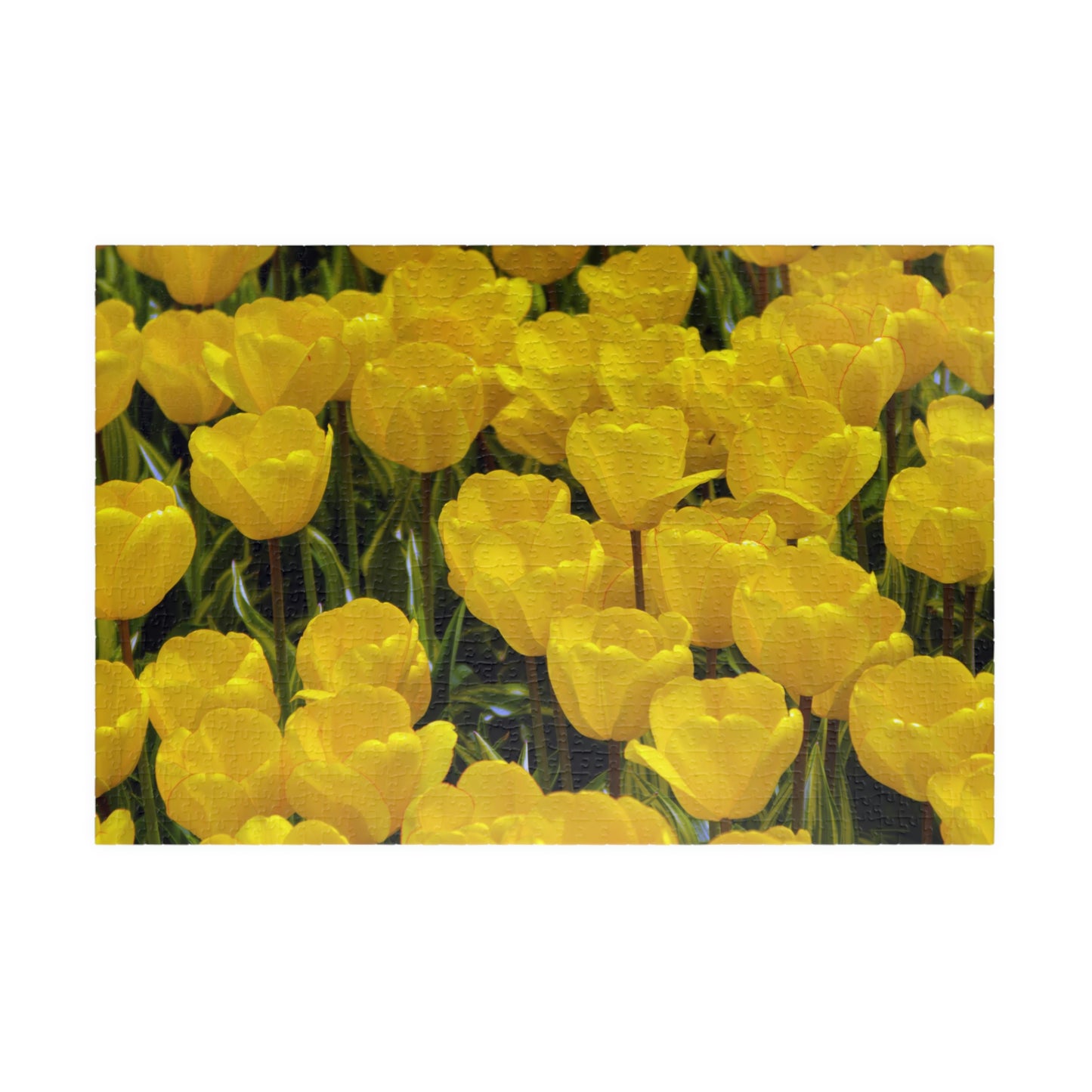 Flowers 23 Puzzle (110, 252, 500, 1014-piece)