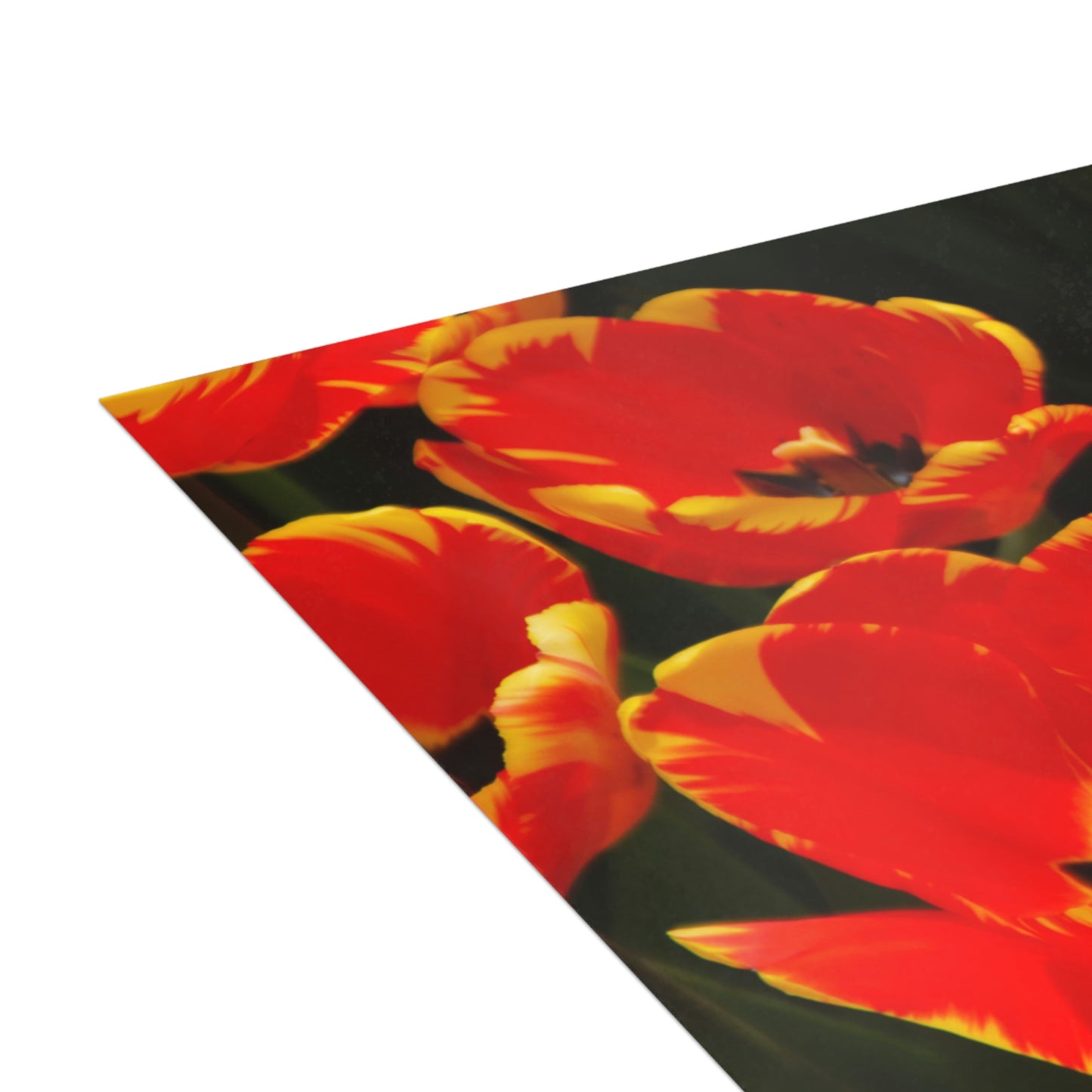 Flowers 19 Greeting Cards (1, 10, 30, and 50pcs)