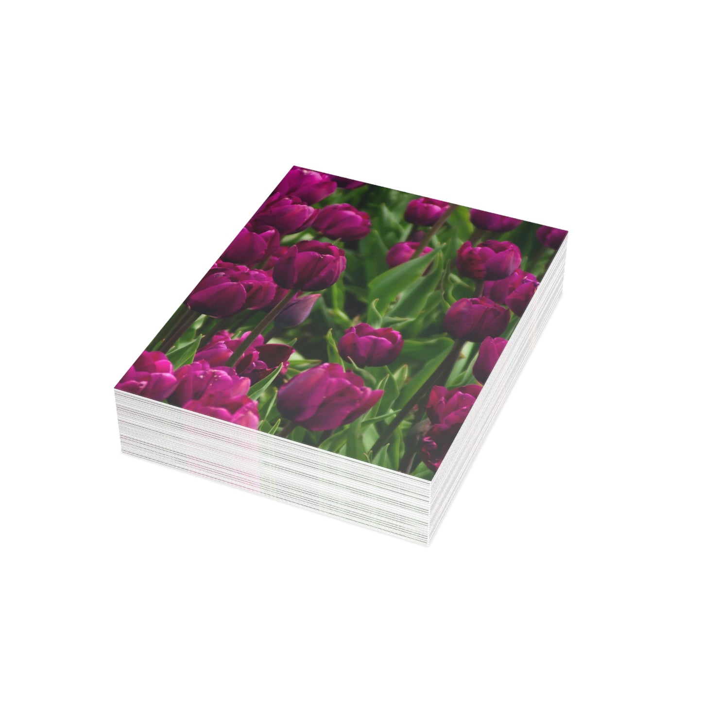 Flowers 20 Greeting Cards (1, 10, 30, and 50pcs)
