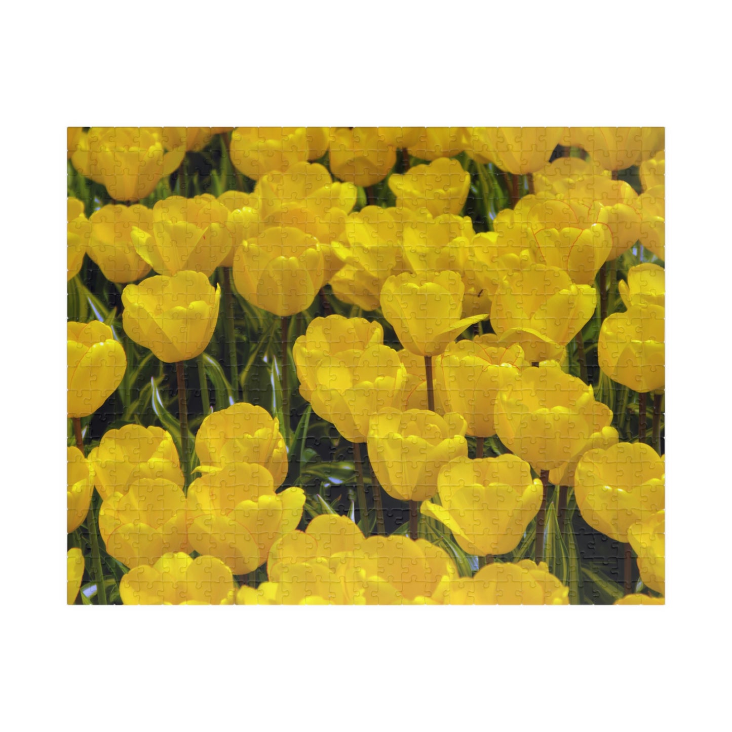 Flowers 23 Puzzle (110, 252, 500, 1014-piece)