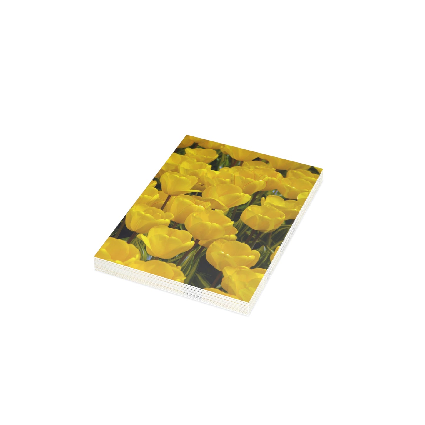 Flowers 23 Greeting Cards (1, 10, 30, and 50pcs)