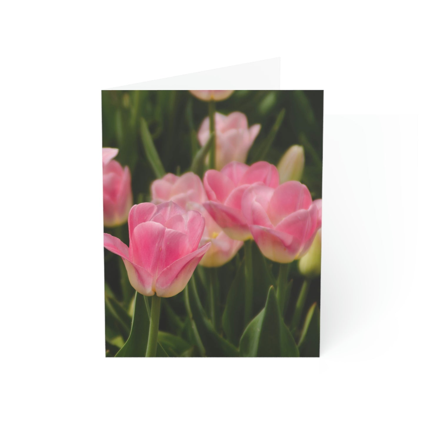 Flowers 17 Greeting Cards (1, 10, 30, and 50pcs)