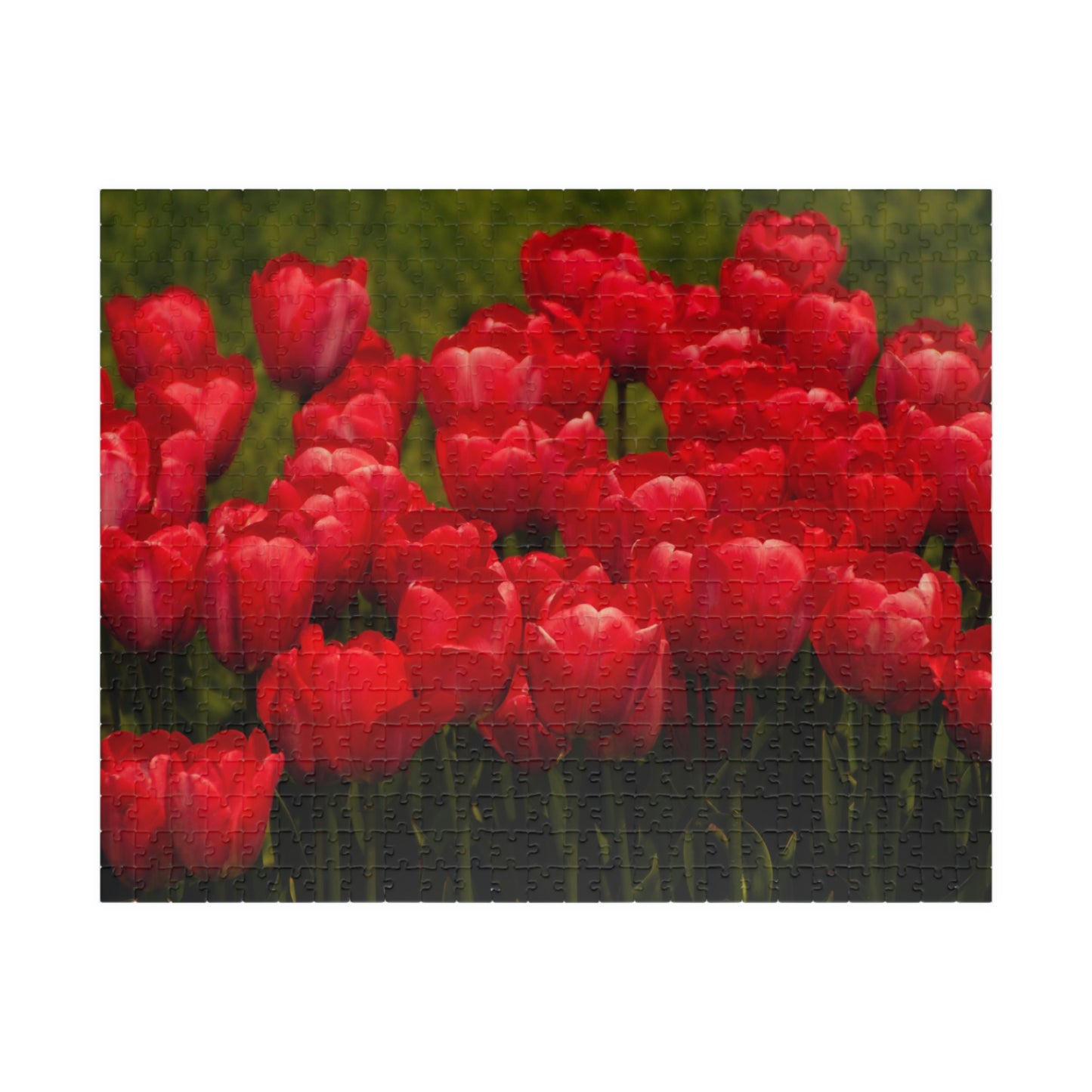 Flowers 22 Puzzle (110, 252, 500, 1014-piece)
