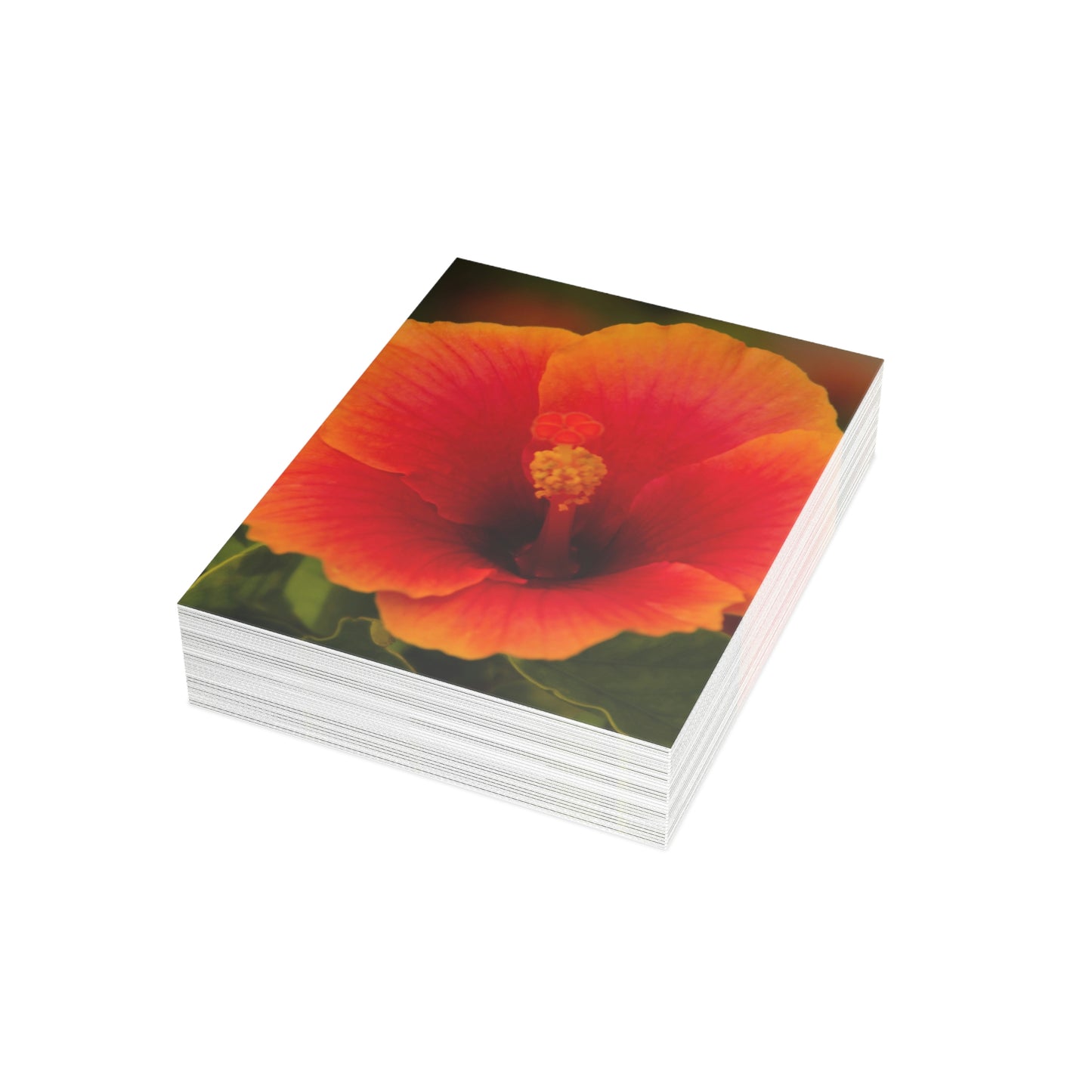 Flowers 31 Greeting Cards (1, 10, 30, and 50pcs)