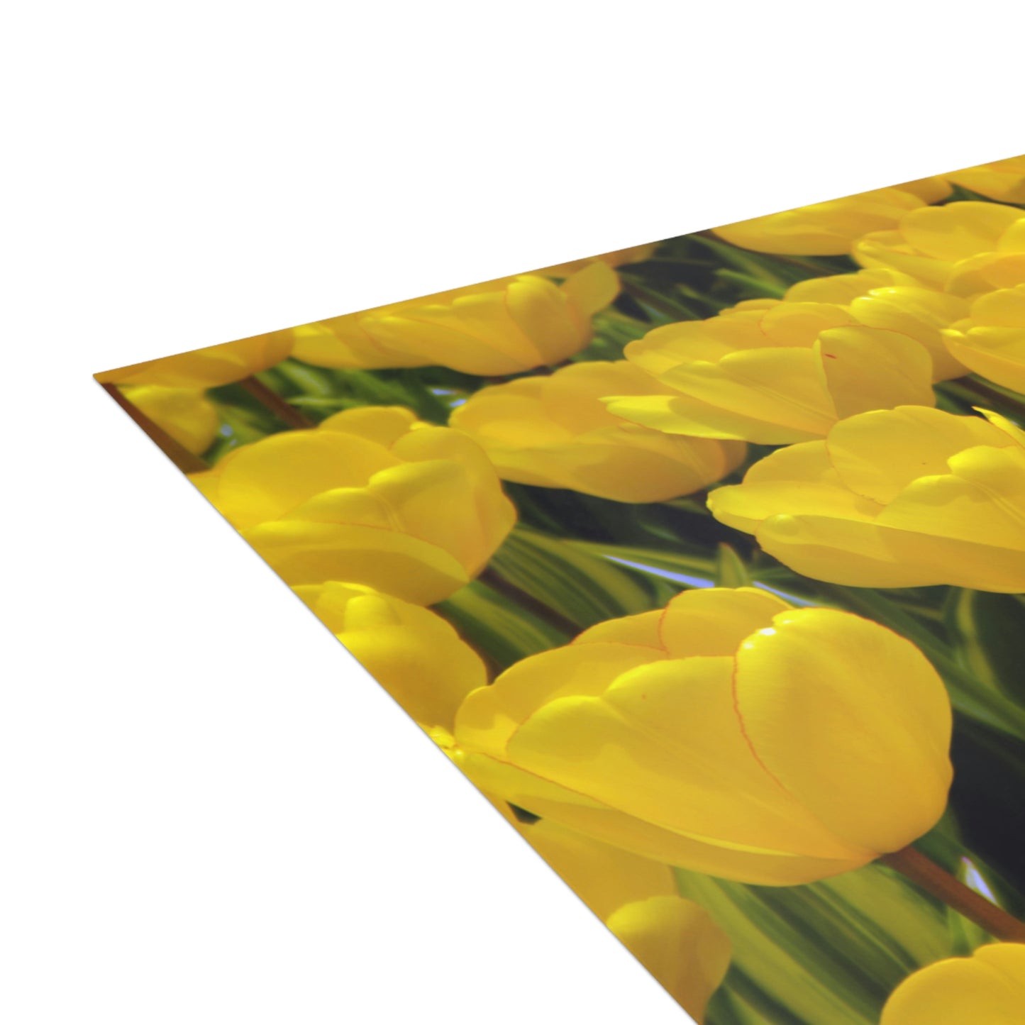 Flowers 23 Greeting Cards (1, 10, 30, and 50pcs)