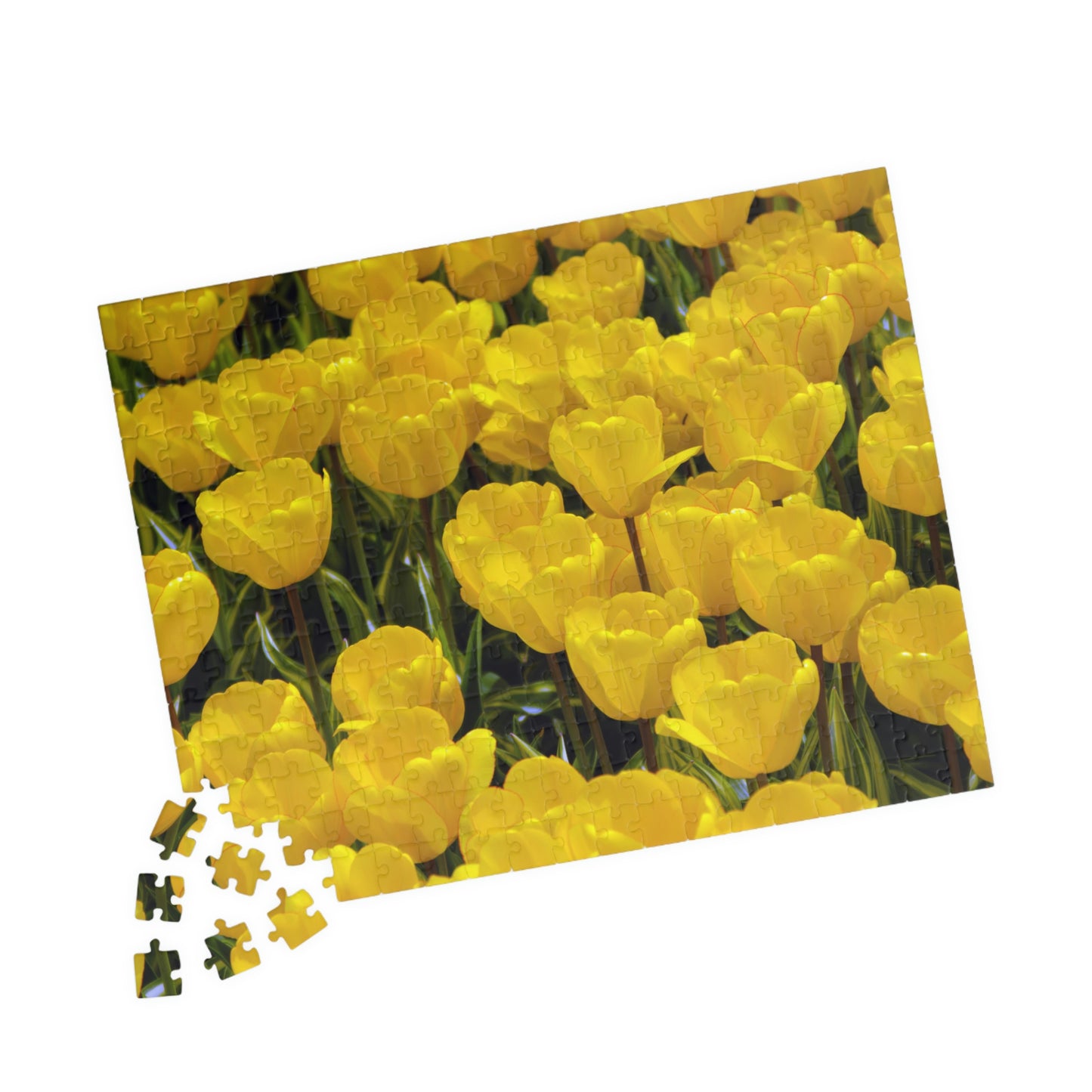 Flowers 23 Puzzle (110, 252, 500, 1014-piece)