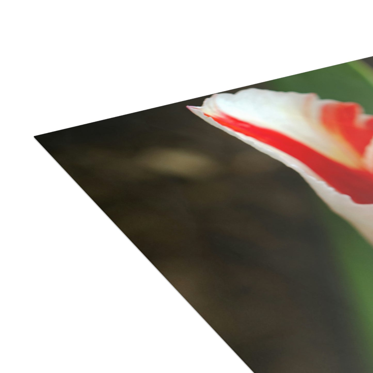 Flowers 12 Greeting Cards (1, 10, 30, and 50pcs)