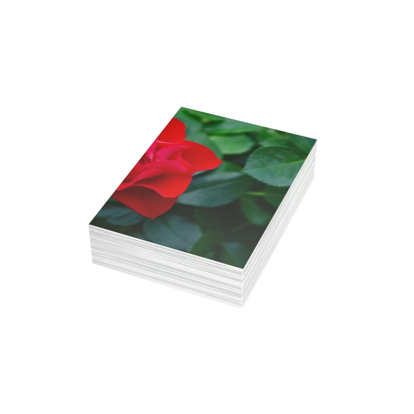 Flowers 11 Greeting Cards (1, 10, 30, and 50pcs)
