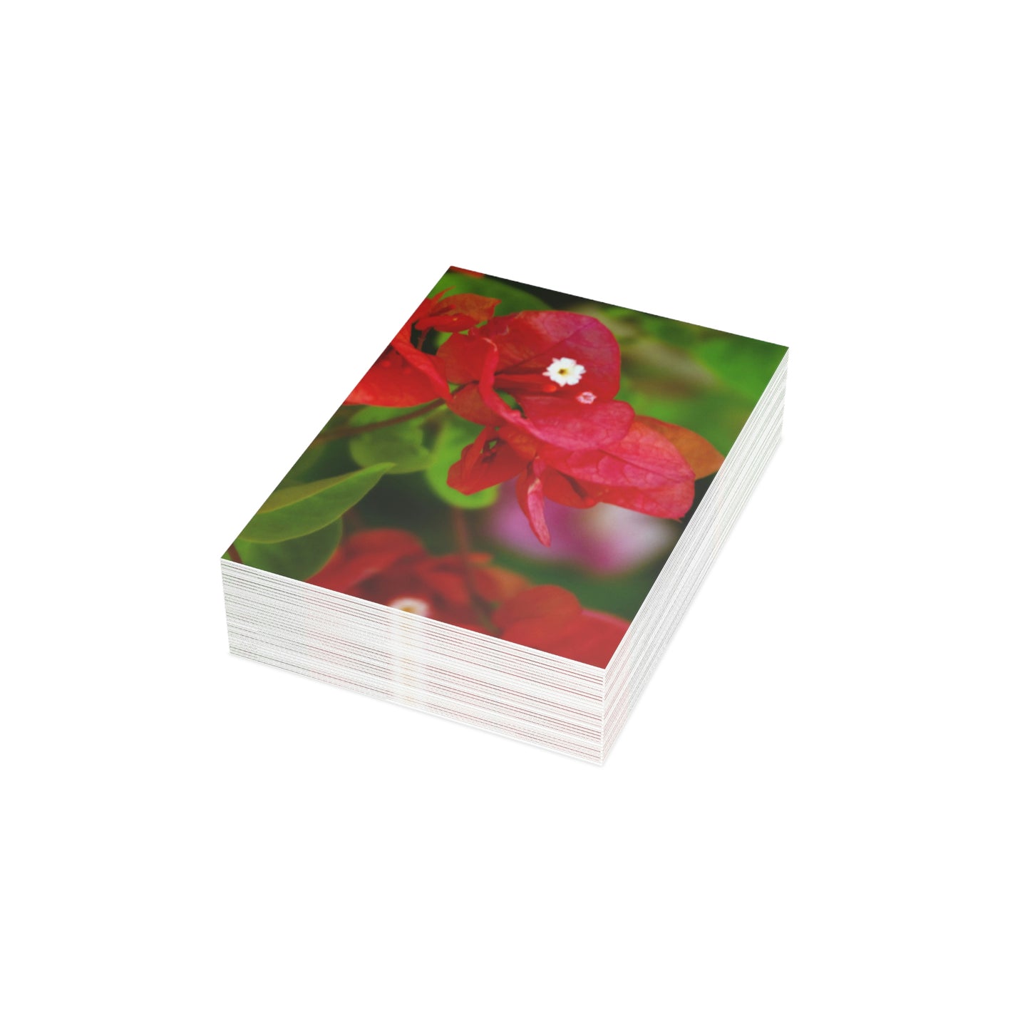 Flowers 28 Greeting Cards (1, 10, 30, and 50pcs)