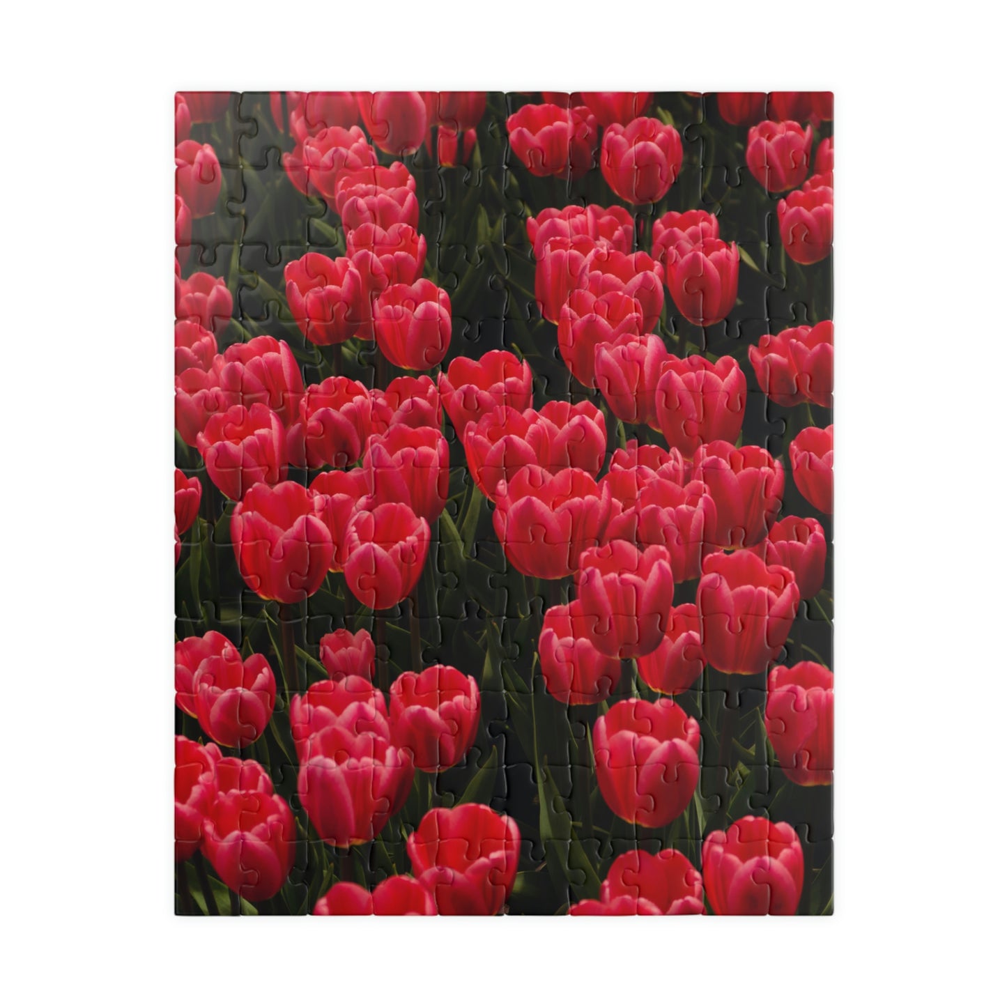 Flowers 24 Puzzle (110, 252, 500, 1014-piece)