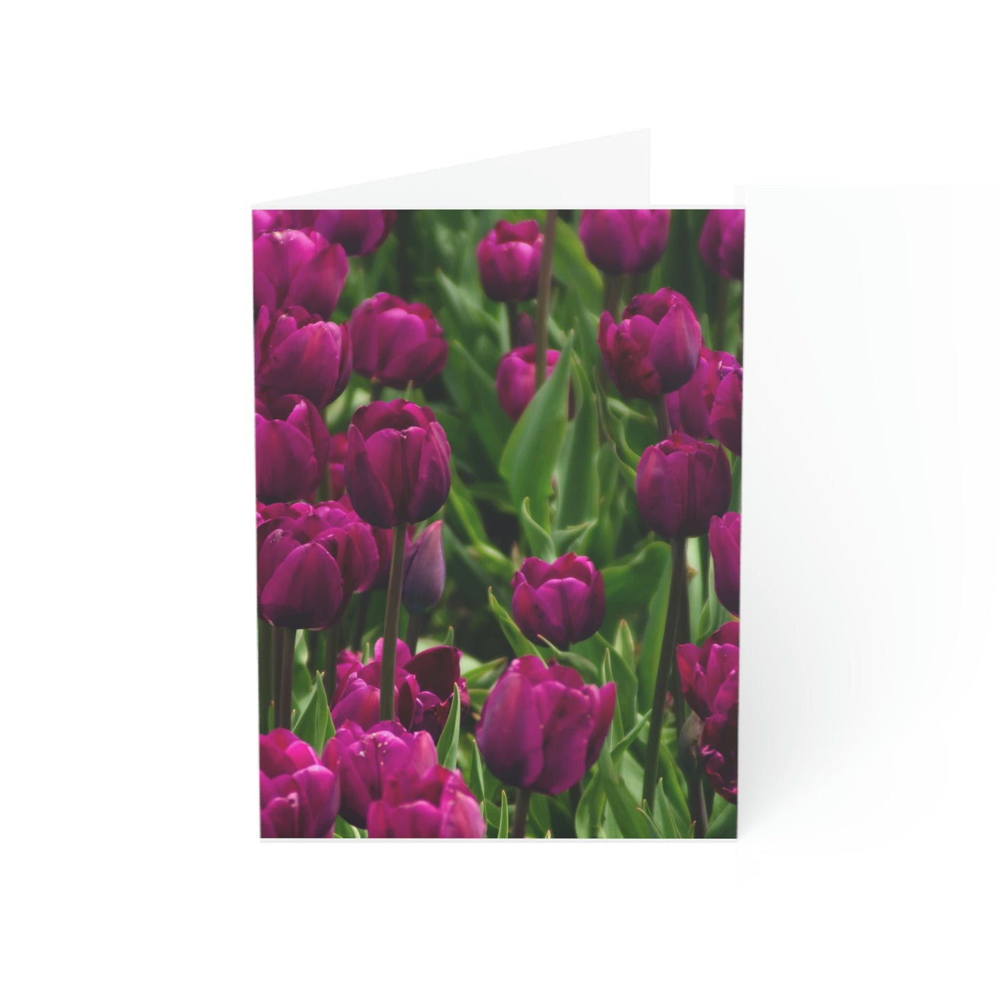Flowers 20 Greeting Cards (1, 10, 30, and 50pcs)