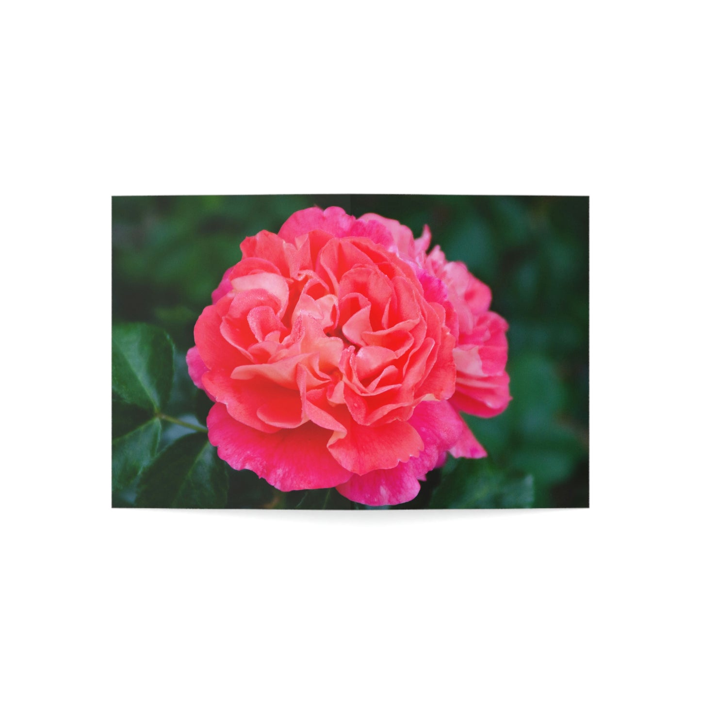 Flowers 06 Greeting Cards (1, 10, 30, and 50pcs)
