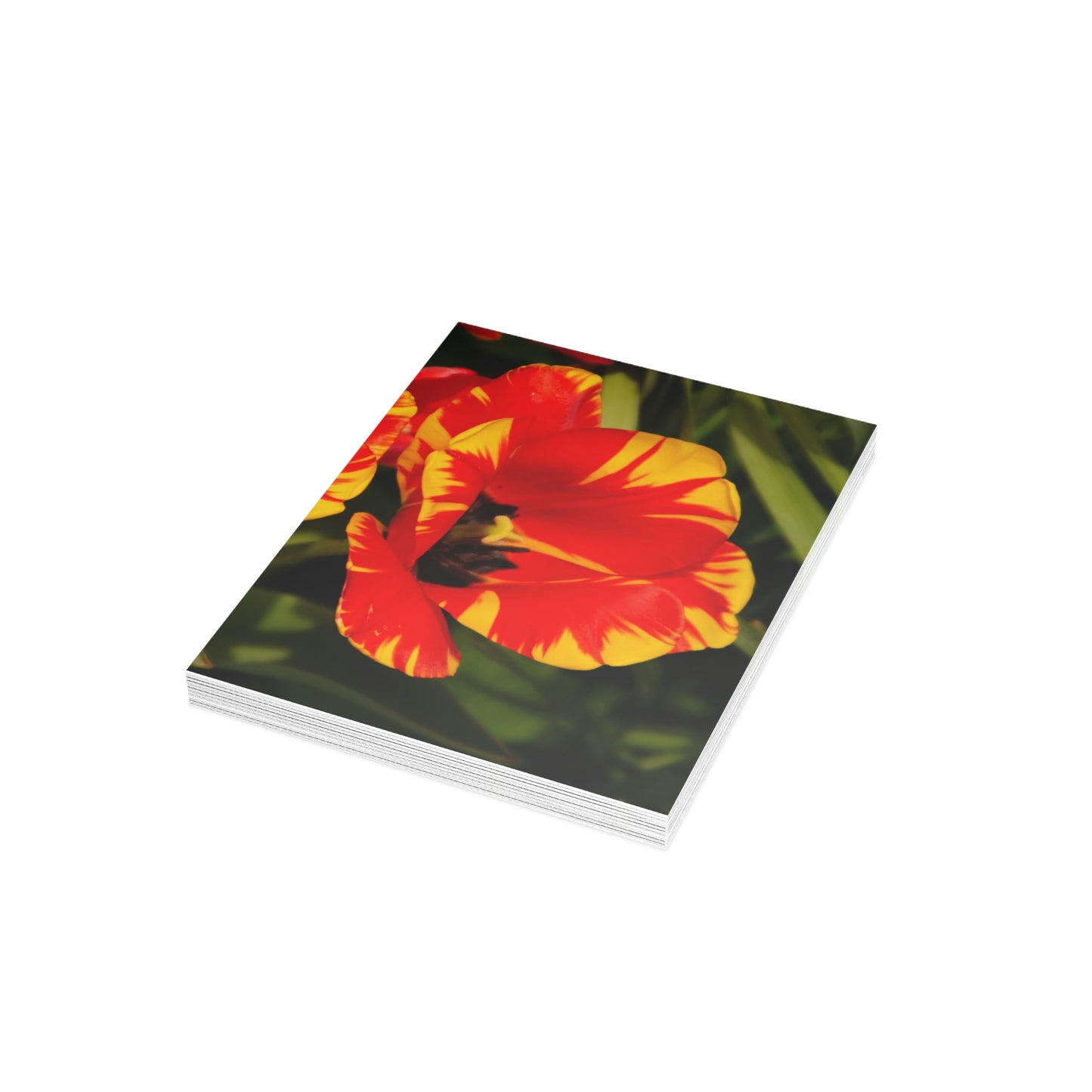 Flowers 09 Greeting Cards (1, 10, 30, and 50pcs)