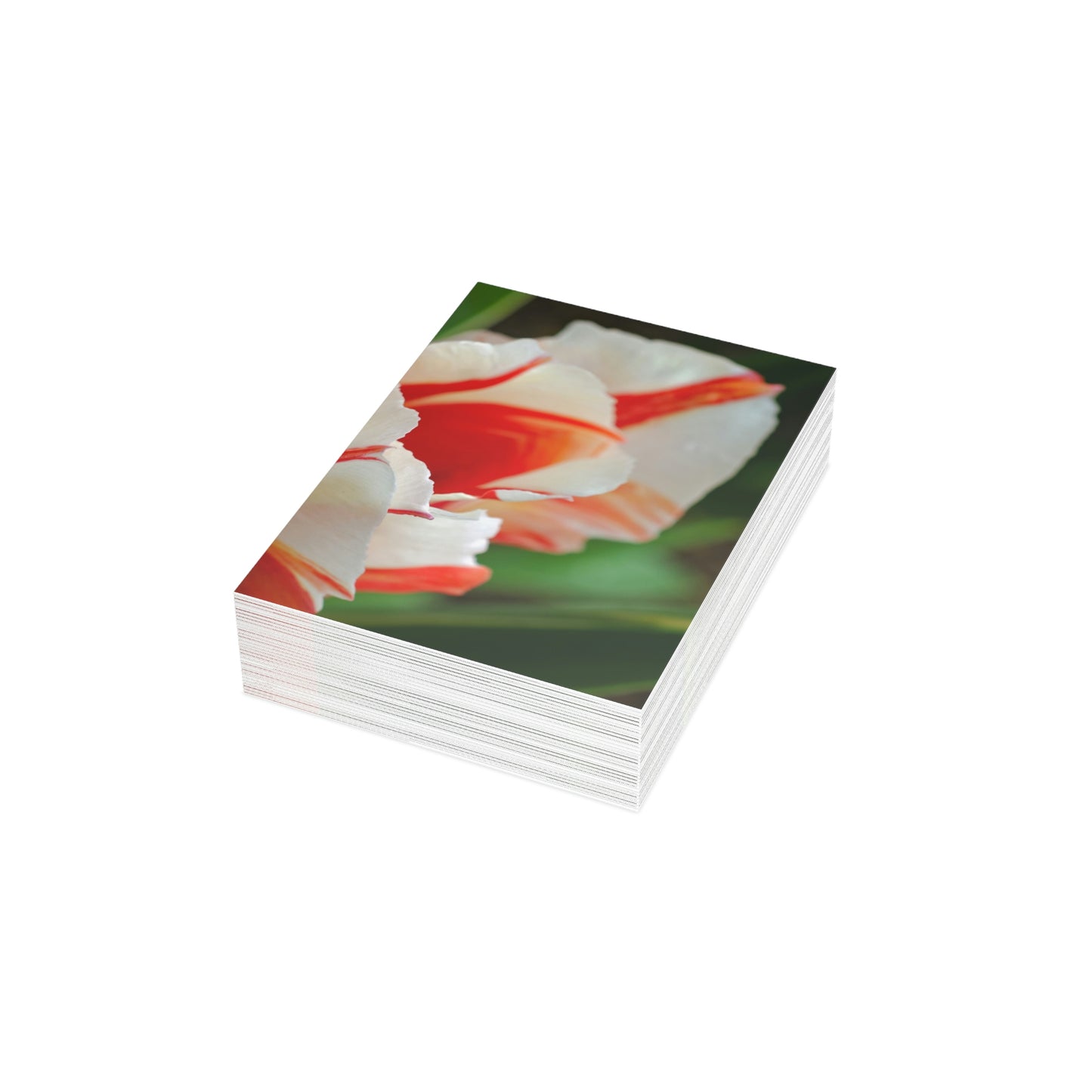 Flowers 12 Greeting Cards (1, 10, 30, and 50pcs)