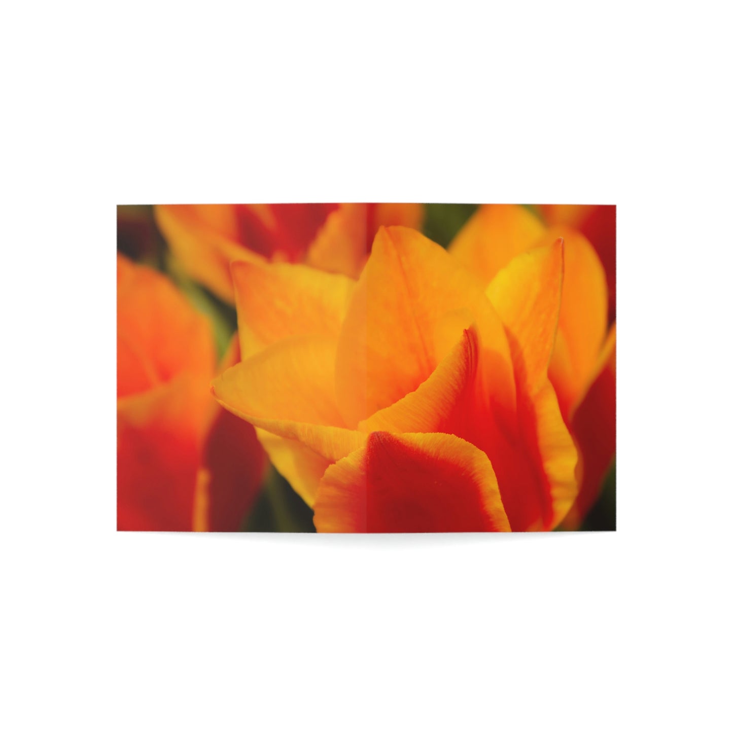 Flowers 15 Greeting Cards (1, 10, 30, and 50pcs)