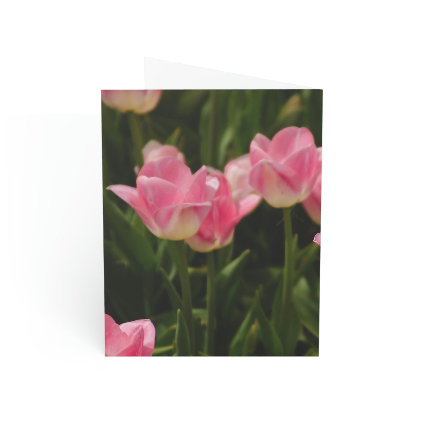 Flowers 17 Greeting Cards (1, 10, 30, and 50pcs)