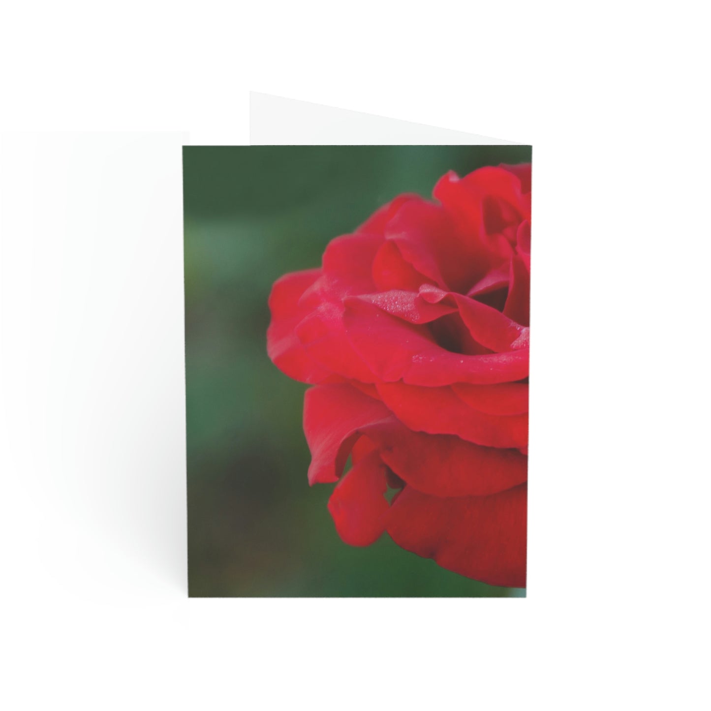 Flowers 13 Greeting Cards (1, 10, 30, and 50pcs)