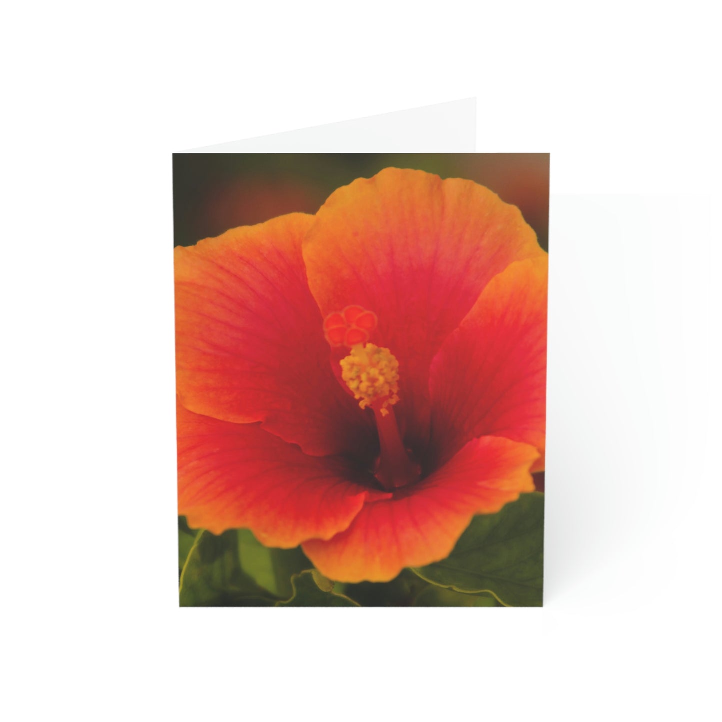 Flowers 31 Greeting Cards (1, 10, 30, and 50pcs)