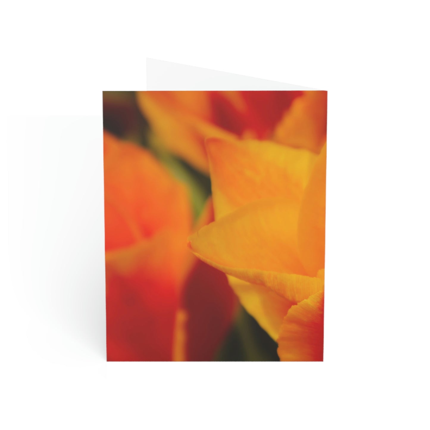 Flowers 15 Greeting Cards (1, 10, 30, and 50pcs)