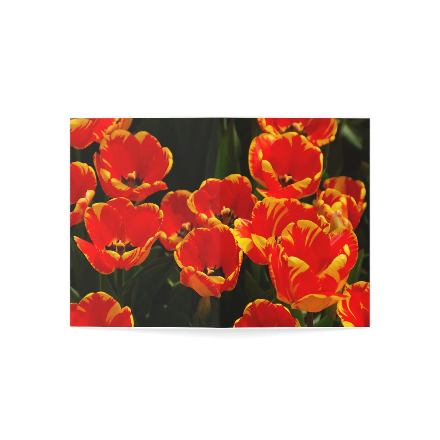Flowers 19 Greeting Cards (1, 10, 30, and 50pcs)