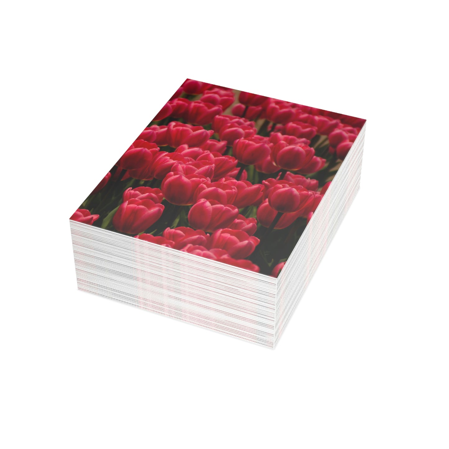 Flowers 16 Greeting Cards (1, 10, 30, and 50pcs)