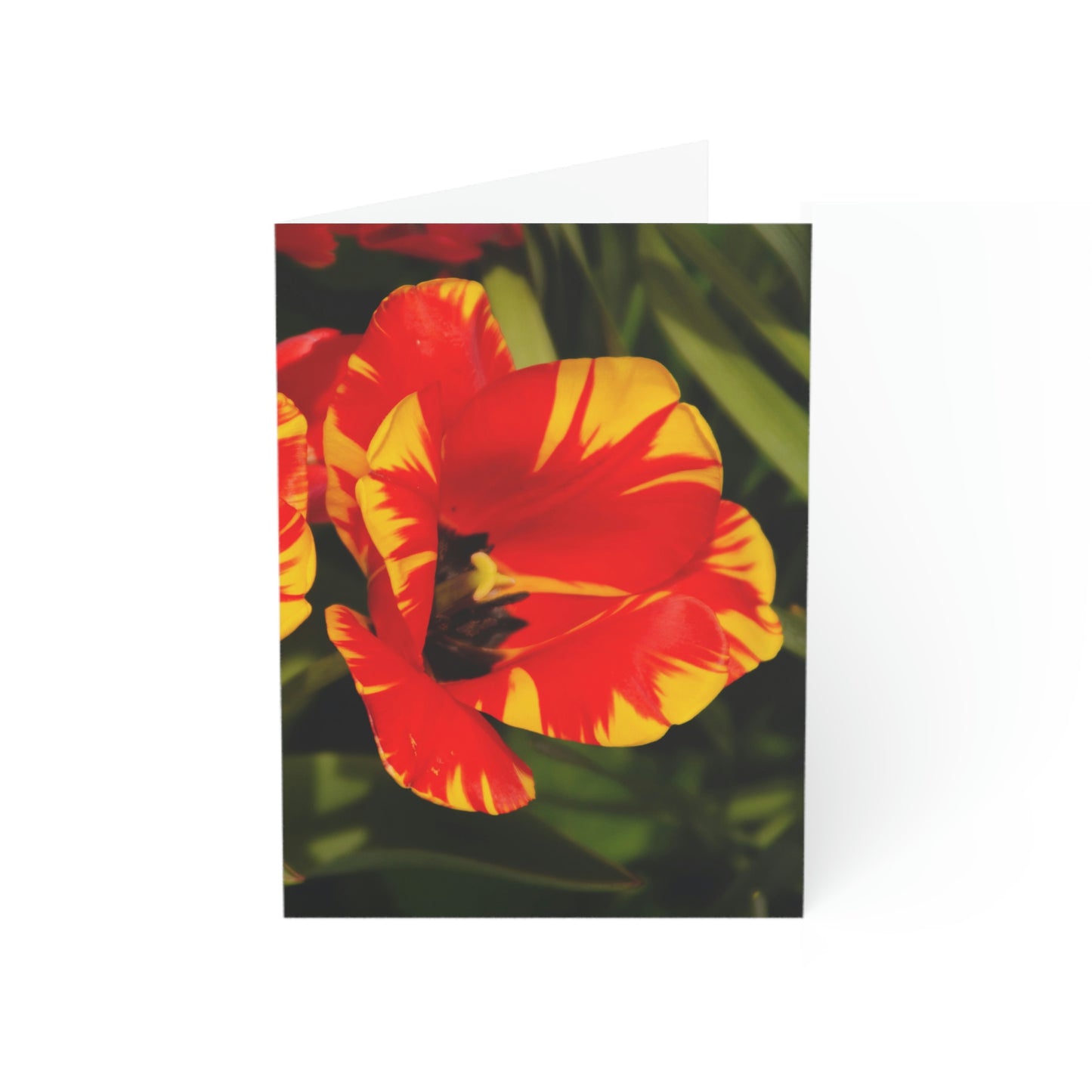 Flowers 09 Greeting Cards (1, 10, 30, and 50pcs)