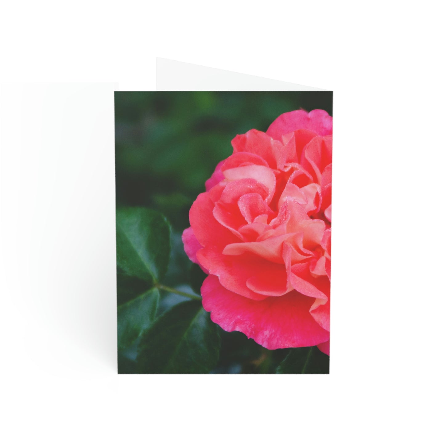 Flowers 06 Greeting Cards (1, 10, 30, and 50pcs)
