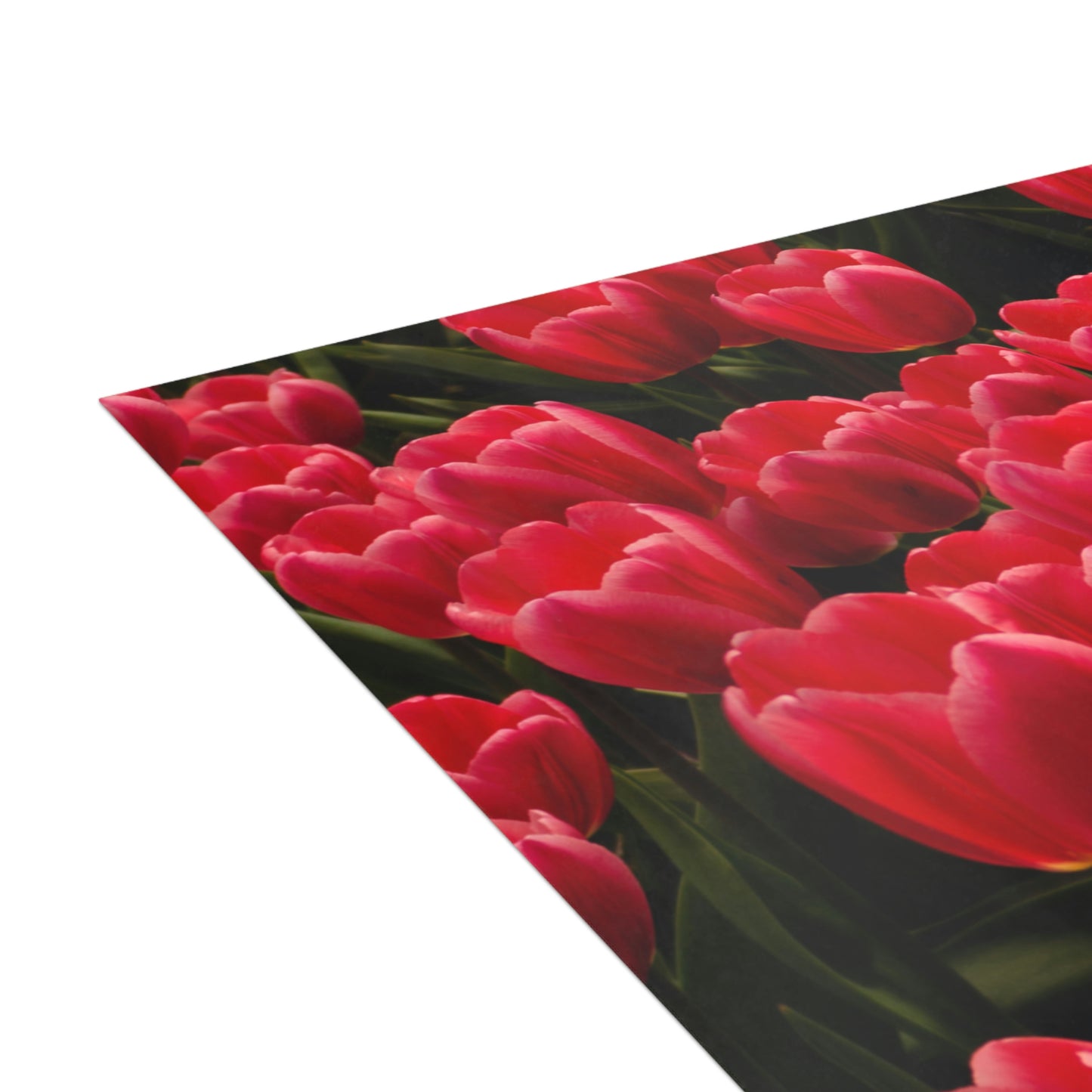 Flowers 24 Greeting Cards (1, 10, 30, and 50pcs)