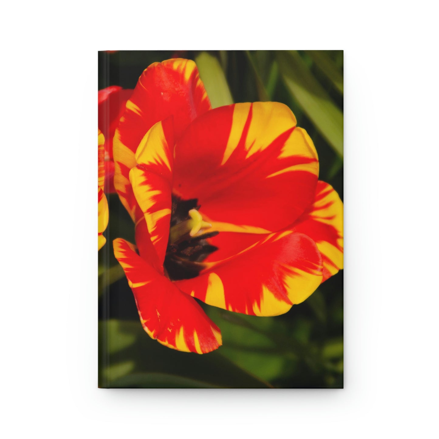 Flowers 12 Hardcover Journal Matte