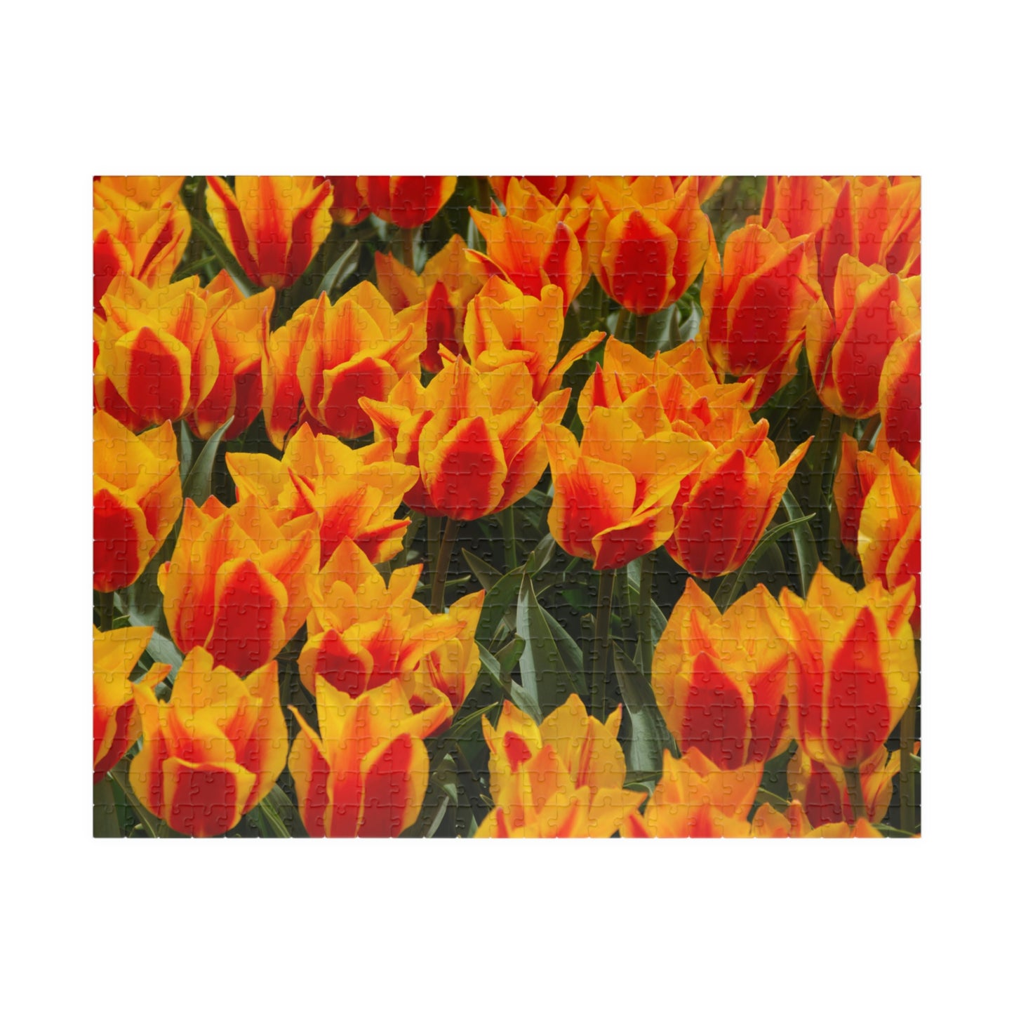 Flowers 17 Puzzle (110, 252, 500, 1014-piece)
