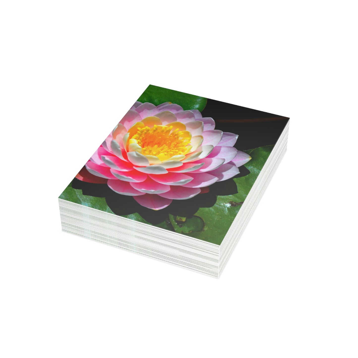 Flowers 25 Greeting Cards (1, 10, 30, and 50pcs)
