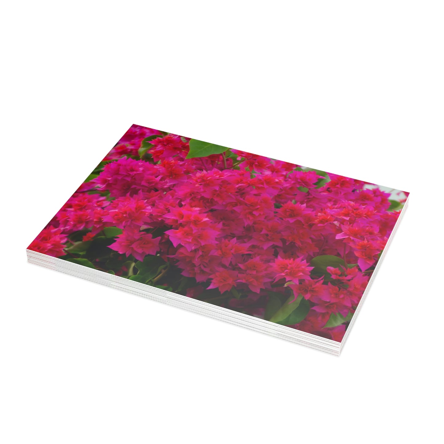 Flowers 28 Greeting Card Bundles (envelopes not included)